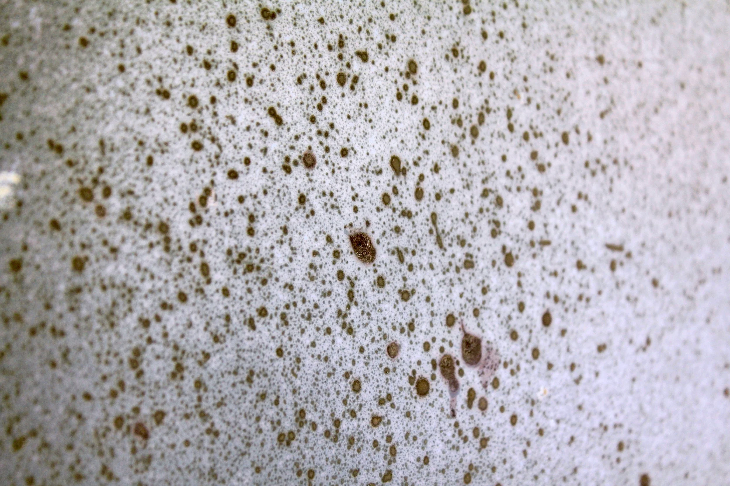 Your Hands - micro detail copy.jpeg