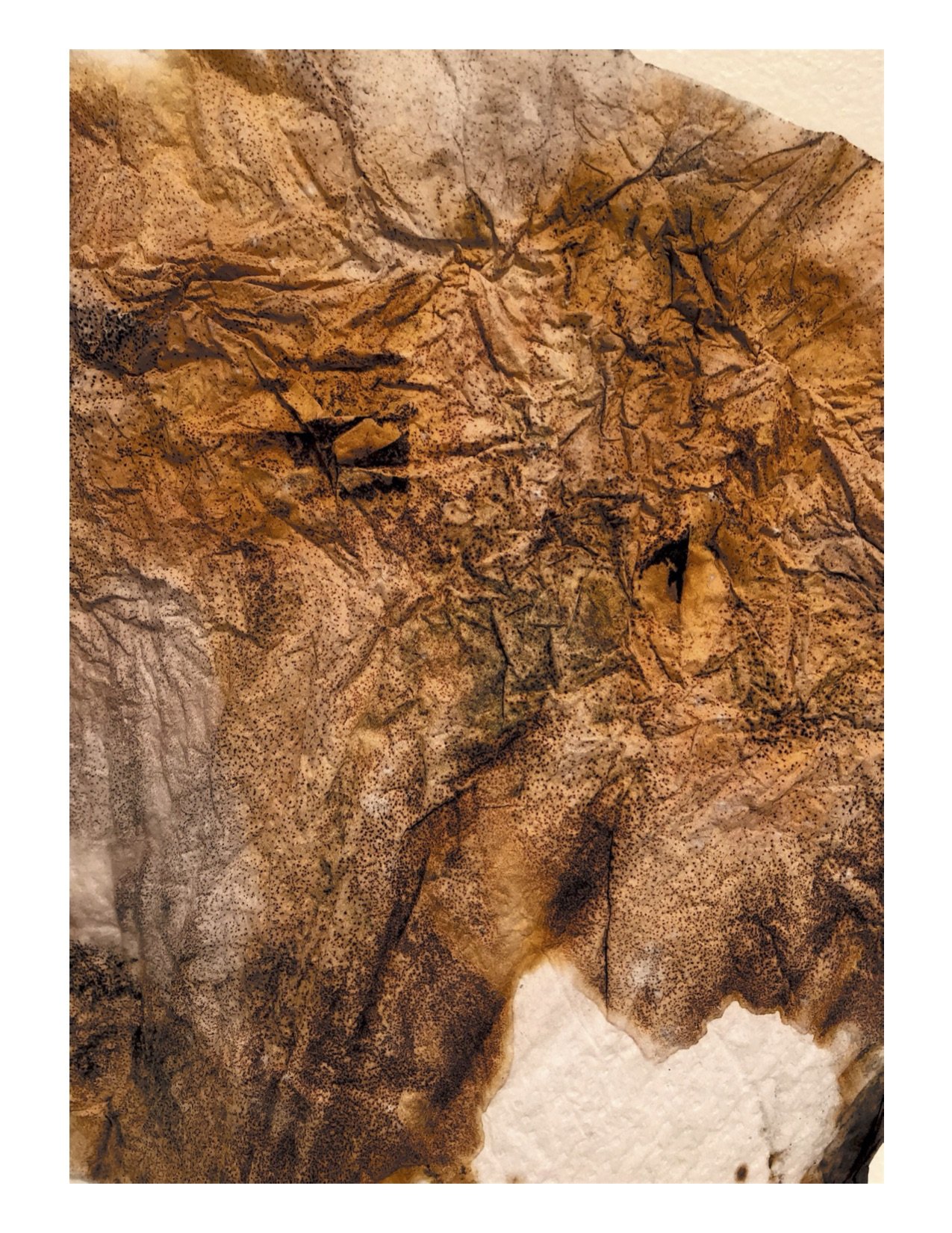 Silvered PaperTowel 7.jpg