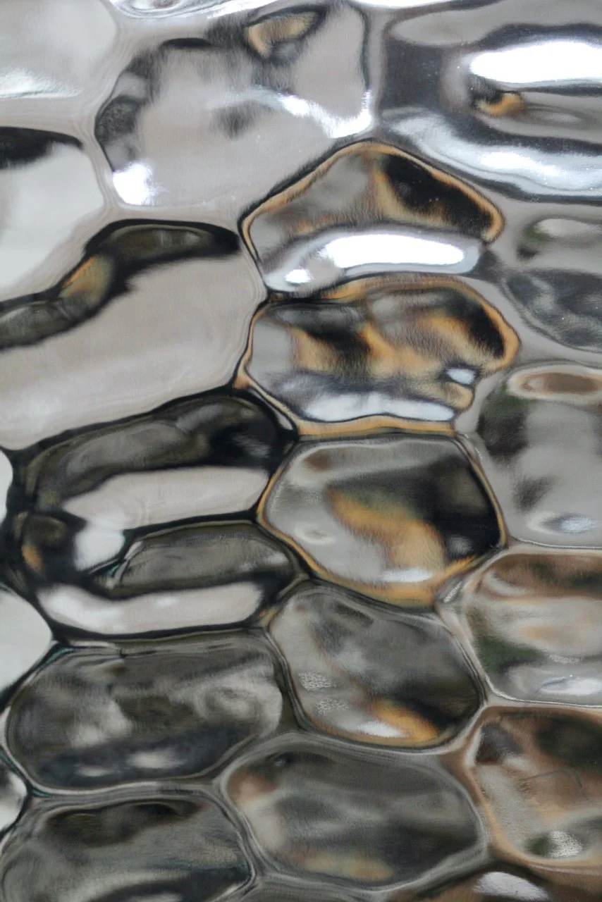 we who sit...(waverley VI)_surface detail.jpeg