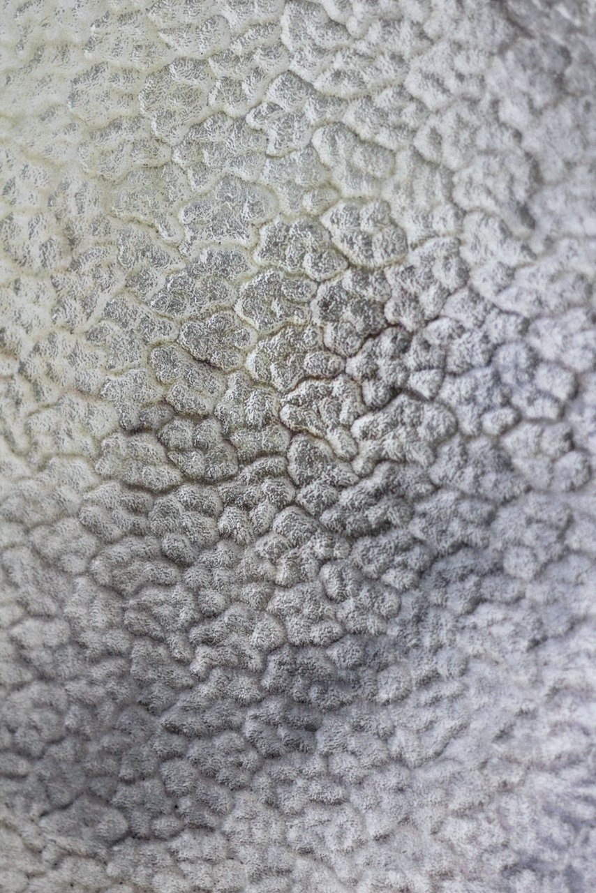 we who sit but cannot sit still (tanami II), ø90cm