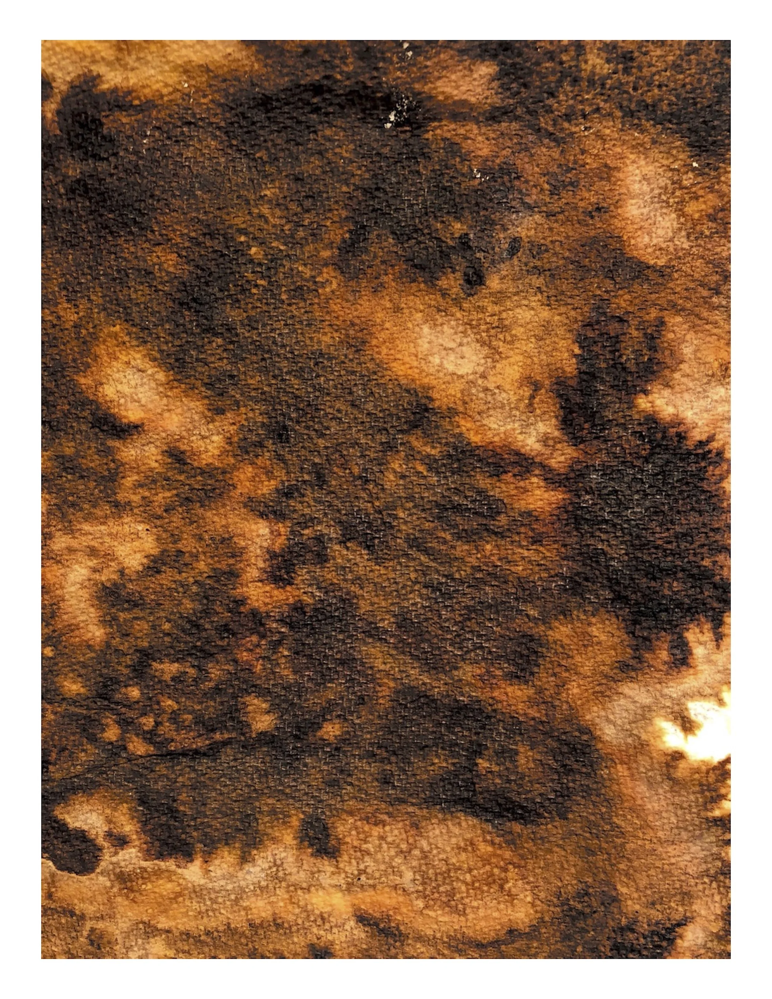 Noah Spivak_Silvered Paper Towel_6.jpg