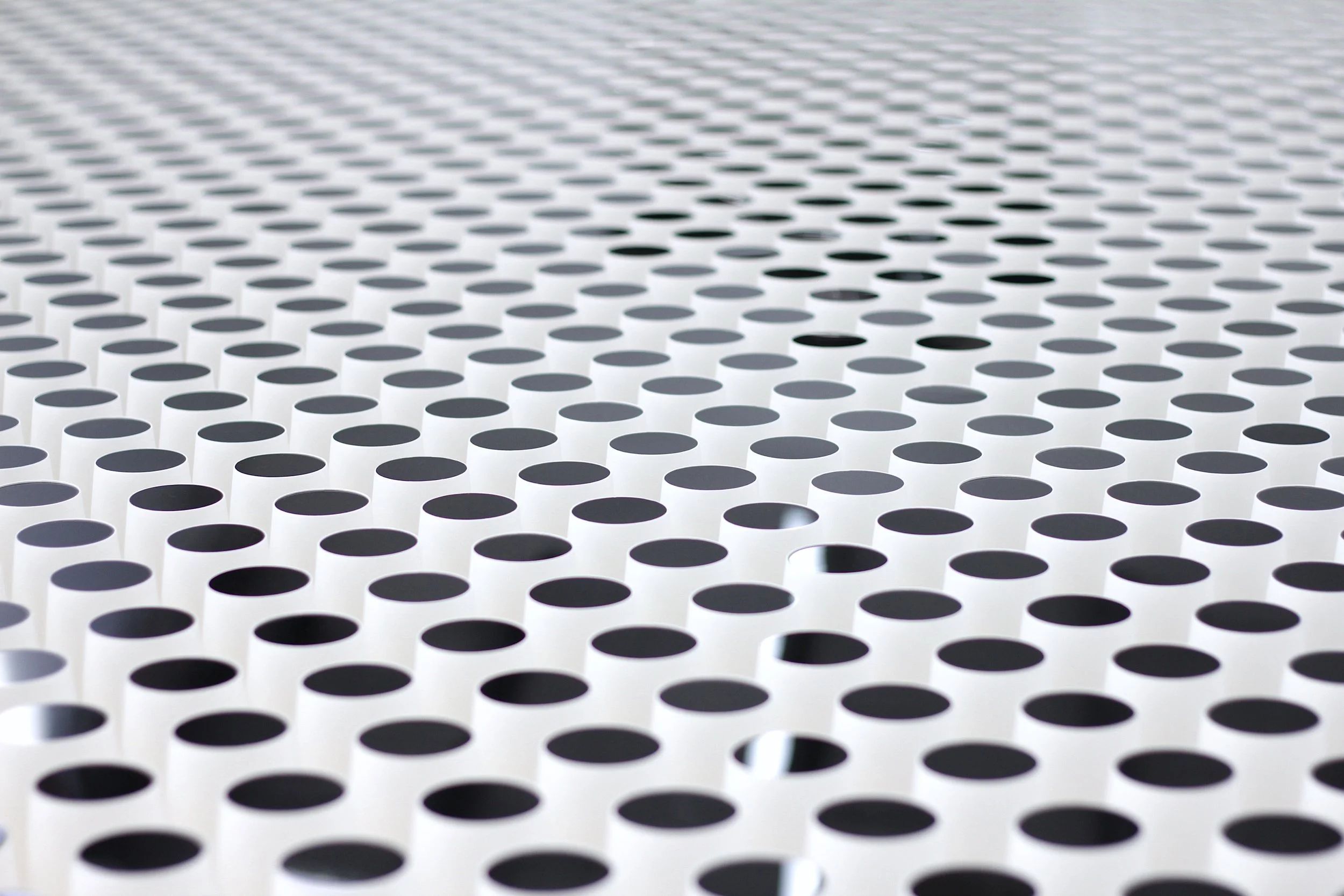 for narcissus (my shores are yours) - 3.JPG