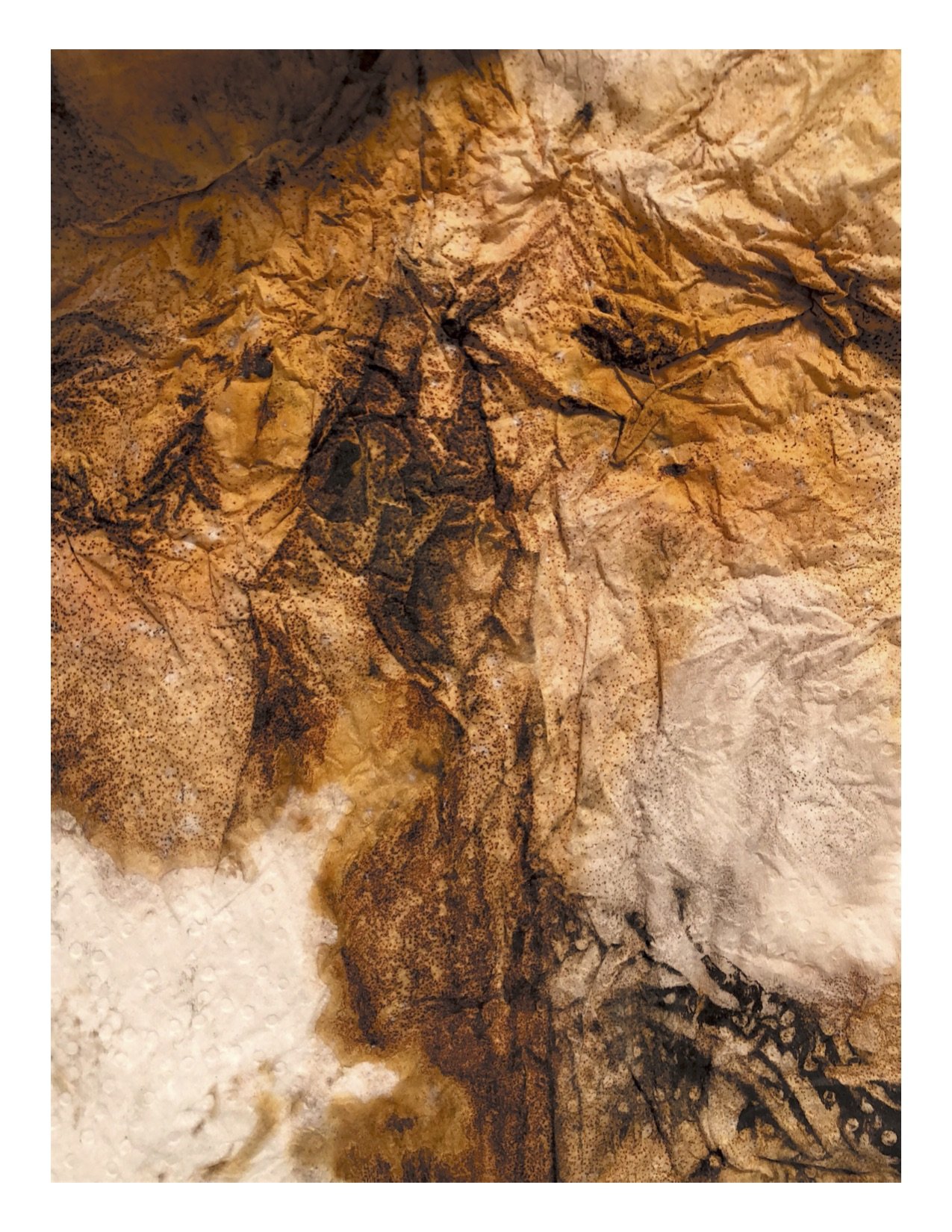 Silvered PaperTowel 2.jpg