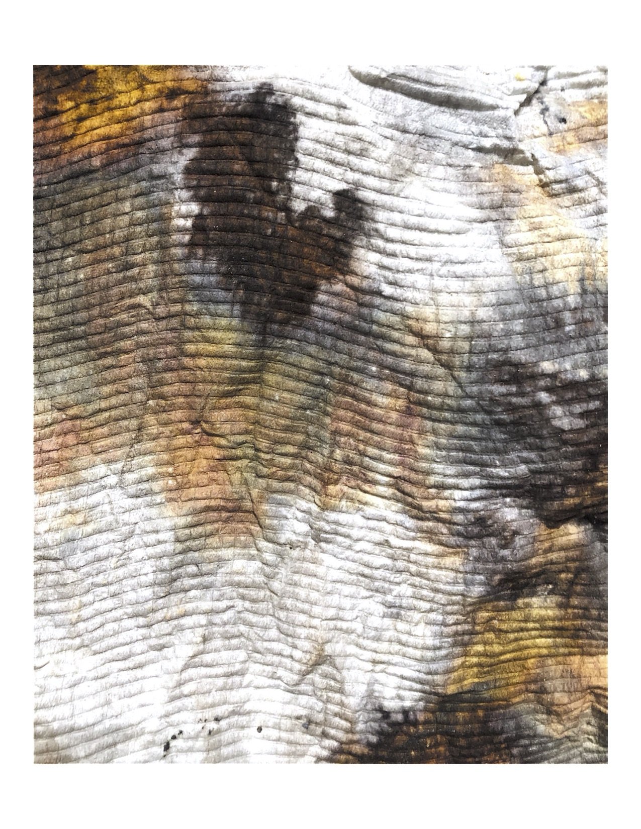 Silvered PaperTowel 8.jpg