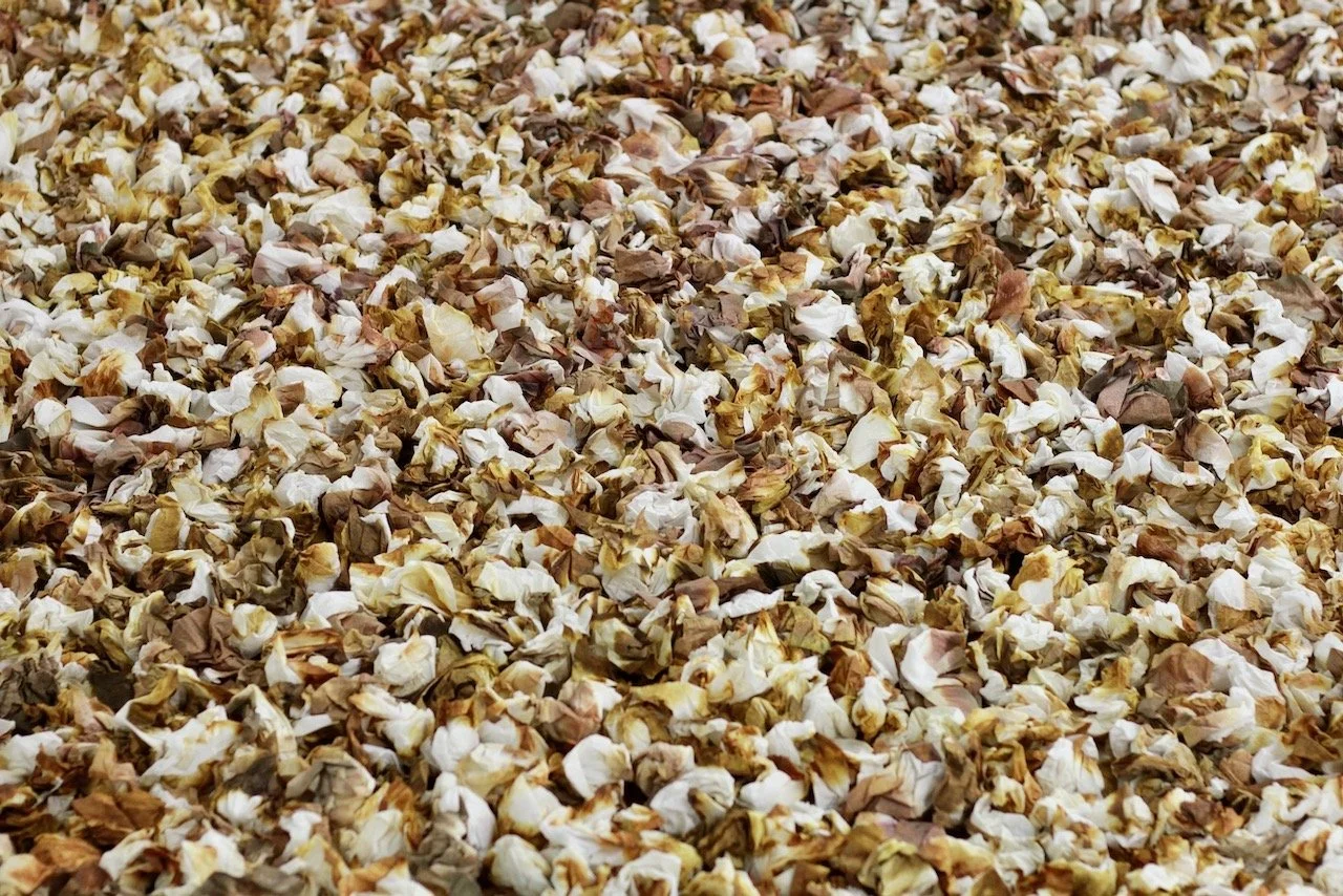 burning the memory of you to keep myself warm