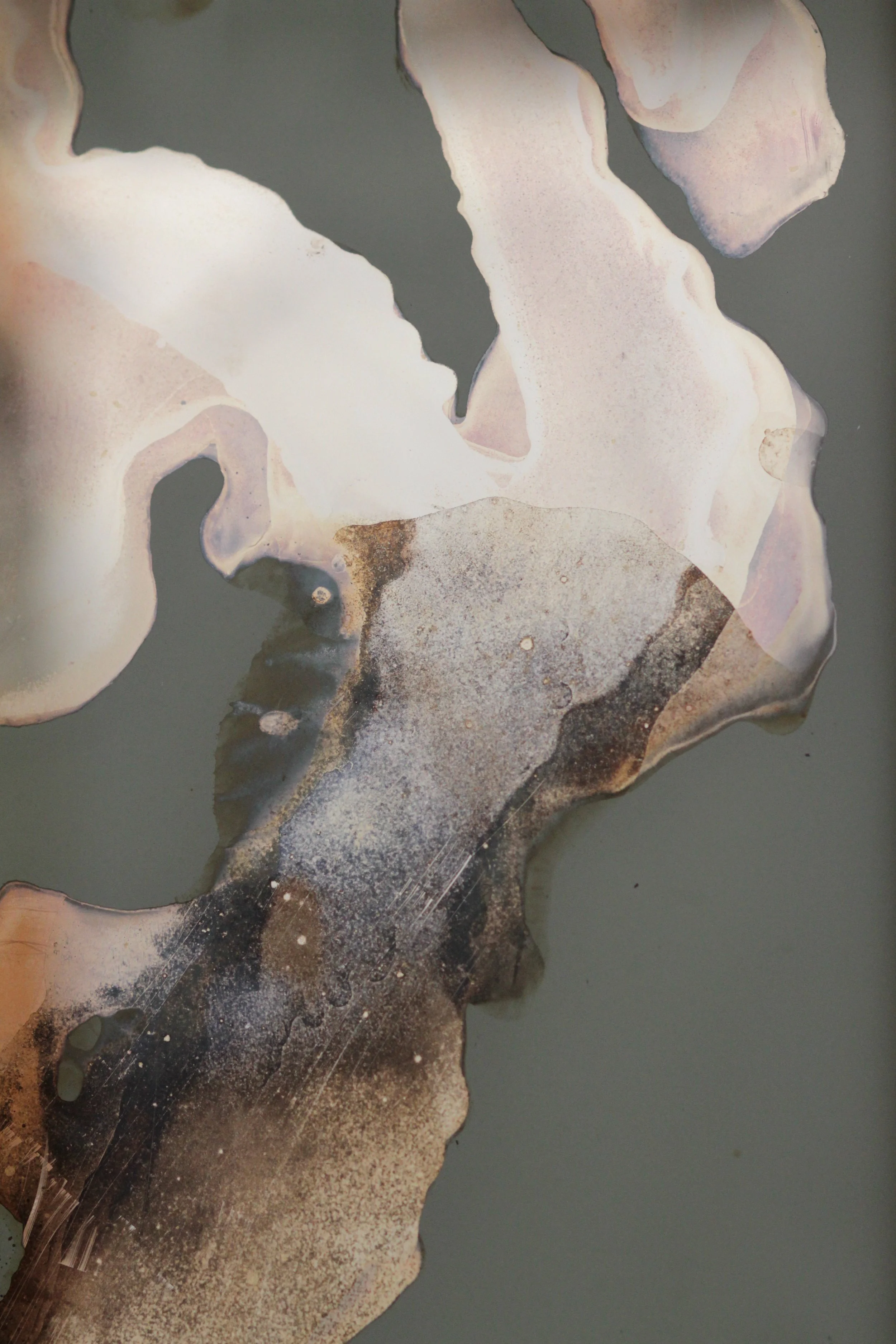 Noah Spivak_Detail 2_2022_hand silvered glass, pigment_ø30cm.JPG