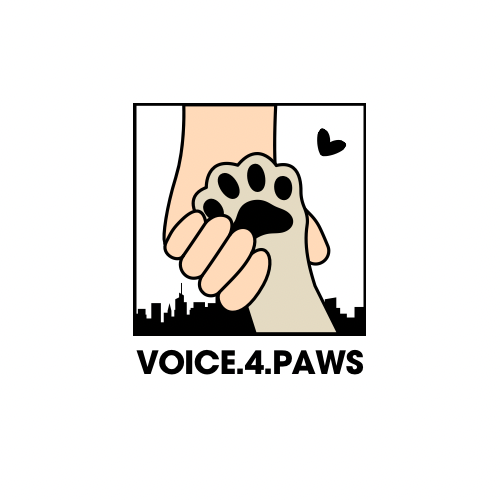 A graphic logo showing a human hand holding a dog's paw with a city skyline in the background and a small heart. The text reads 'VOICE.4.PAWS'.