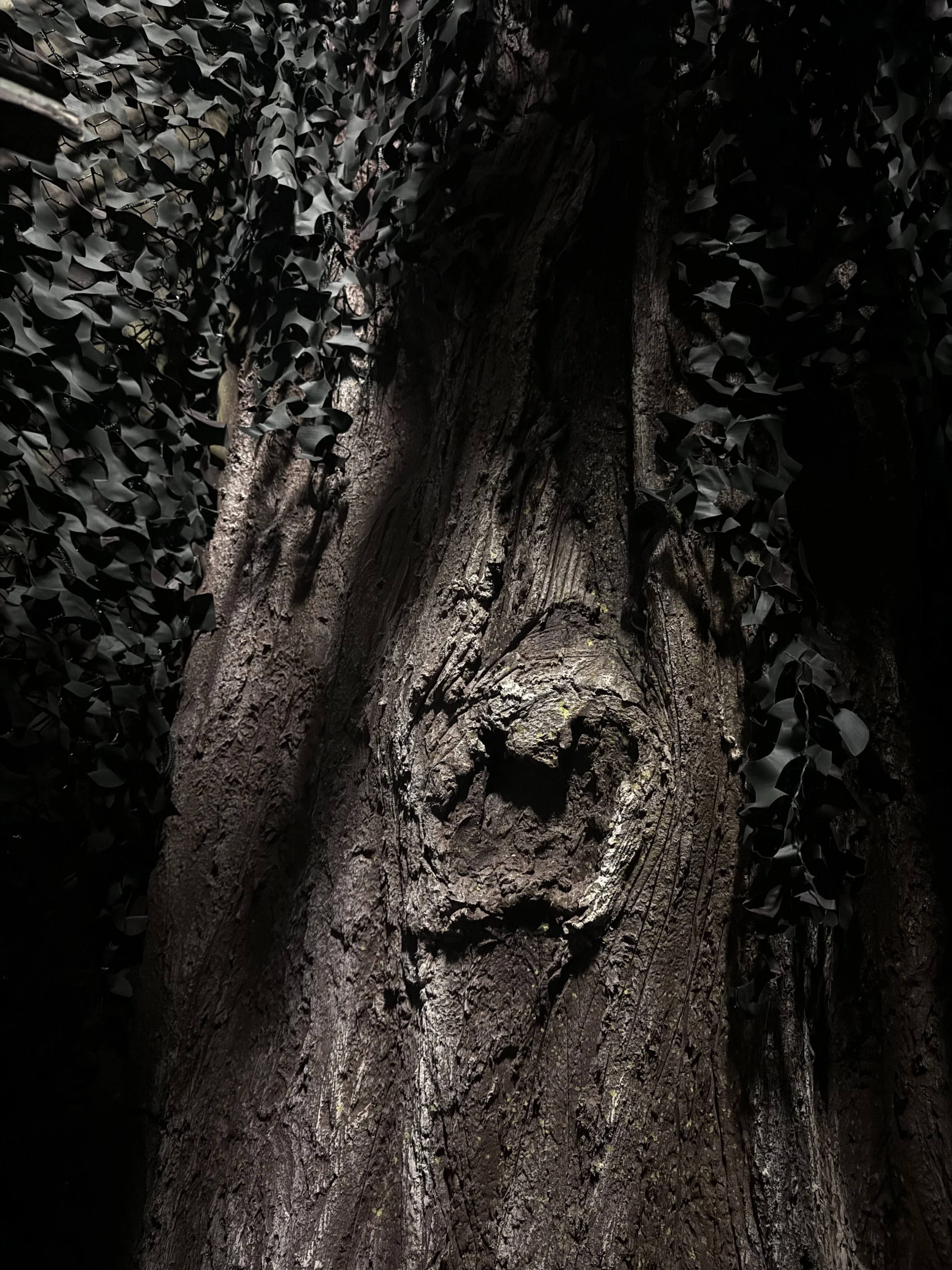 Close-up of a tree trunk with a carved face depicting a surprised or shocked expression, surrounded by dark leaves.