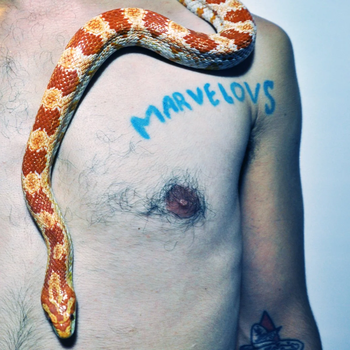 MARVELOUS DARLINGS - SINGLE LIFE (PRODUCER/SONGWRITER/GUITAR)