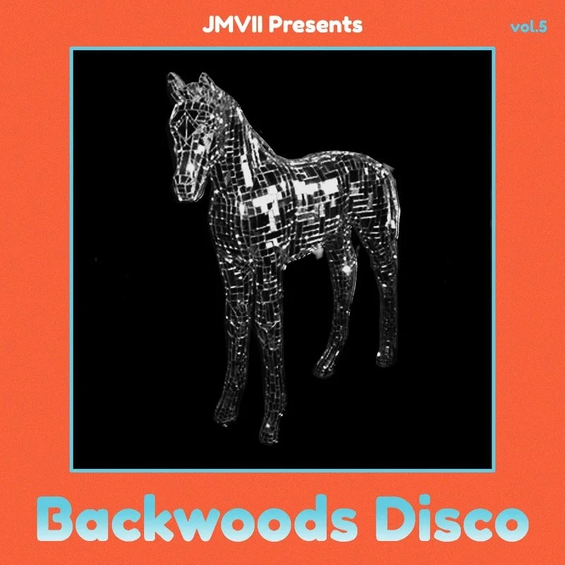 “BACKWOODS DISCO” COUNTRY DISCO RARITIES & B SIDES”