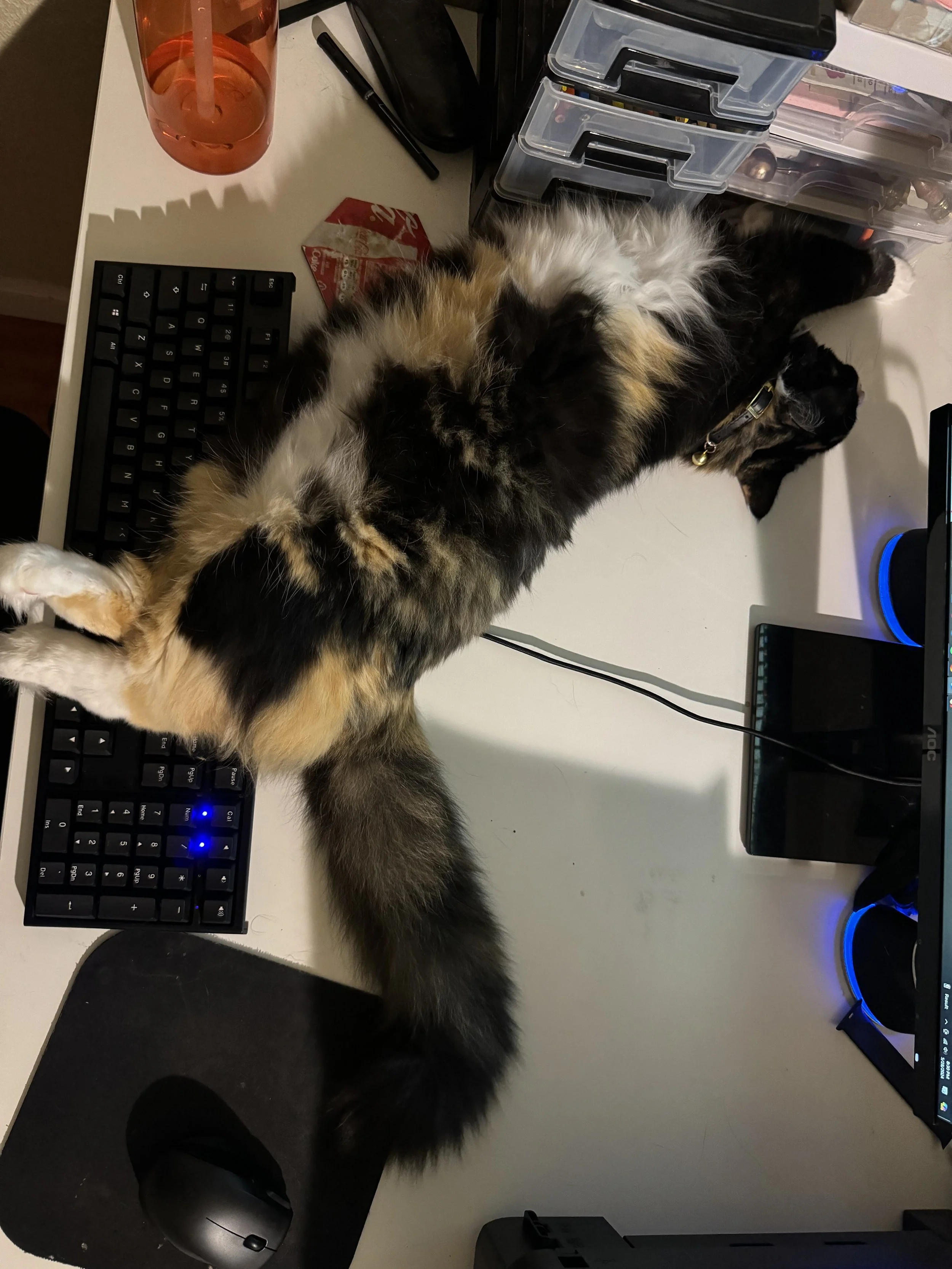 Hemi is my most involved coauthor.