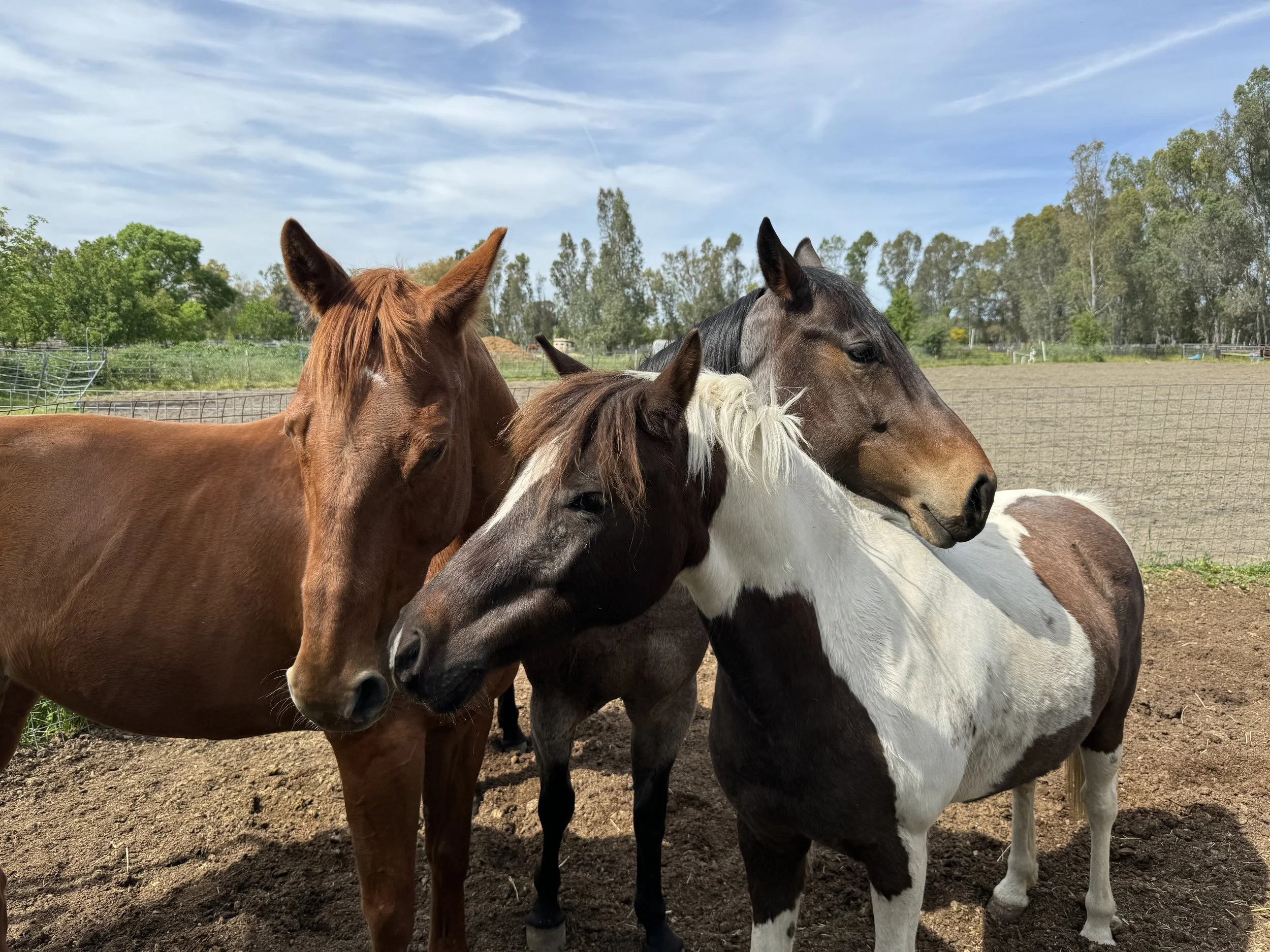 The girls are best friends (most of the time).