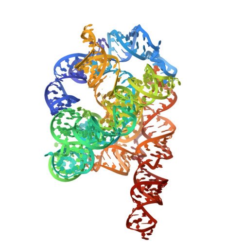 Tetrahymena Ribozyme Folding Research Proposal