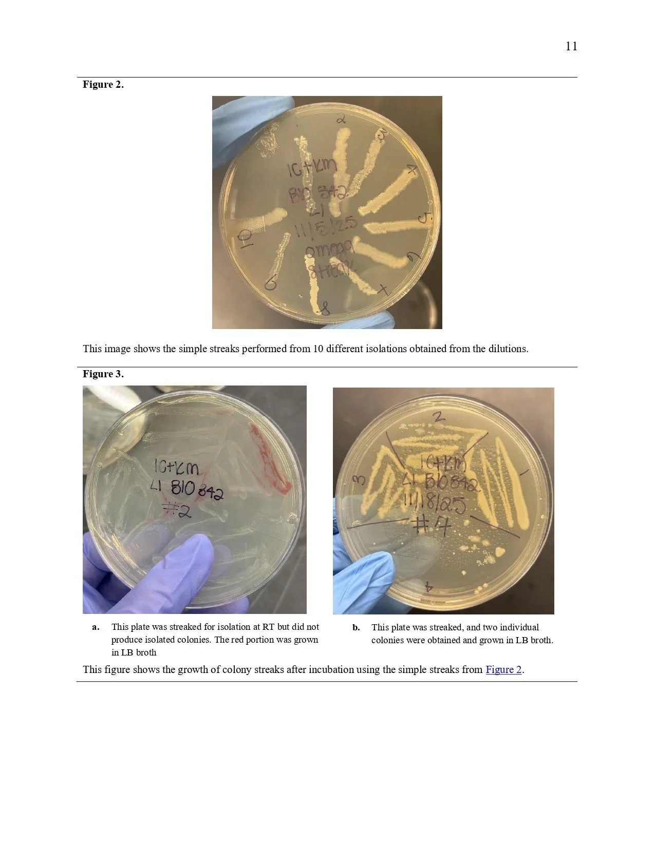 Unknown Paper _page-0011.jpg