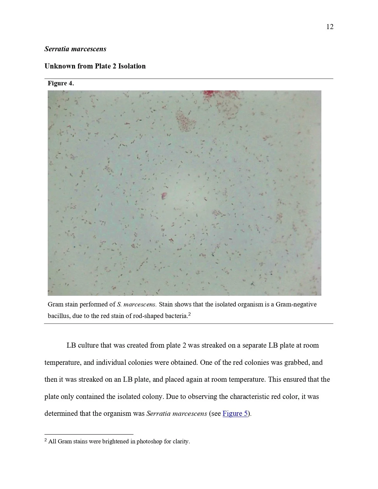 Unknown Paper _page-0012.jpg