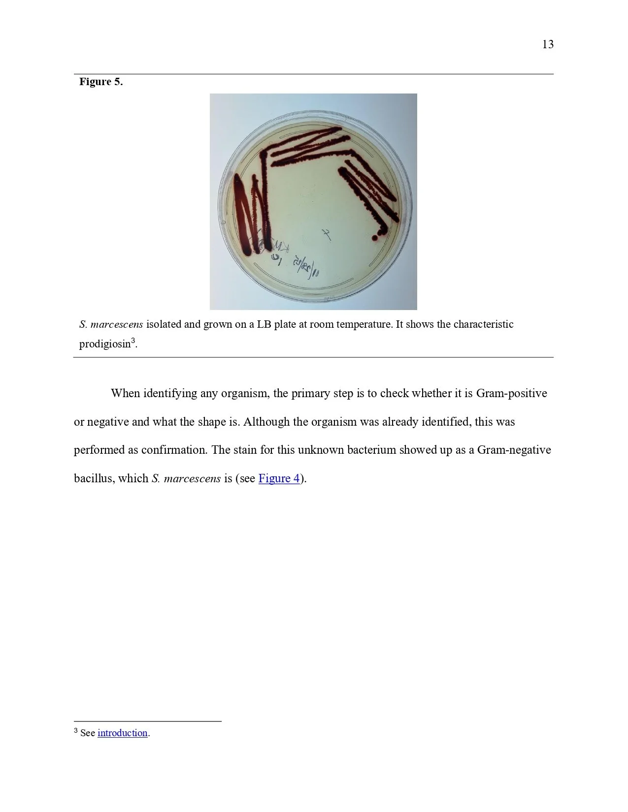 Unknown Paper _page-0013.jpg