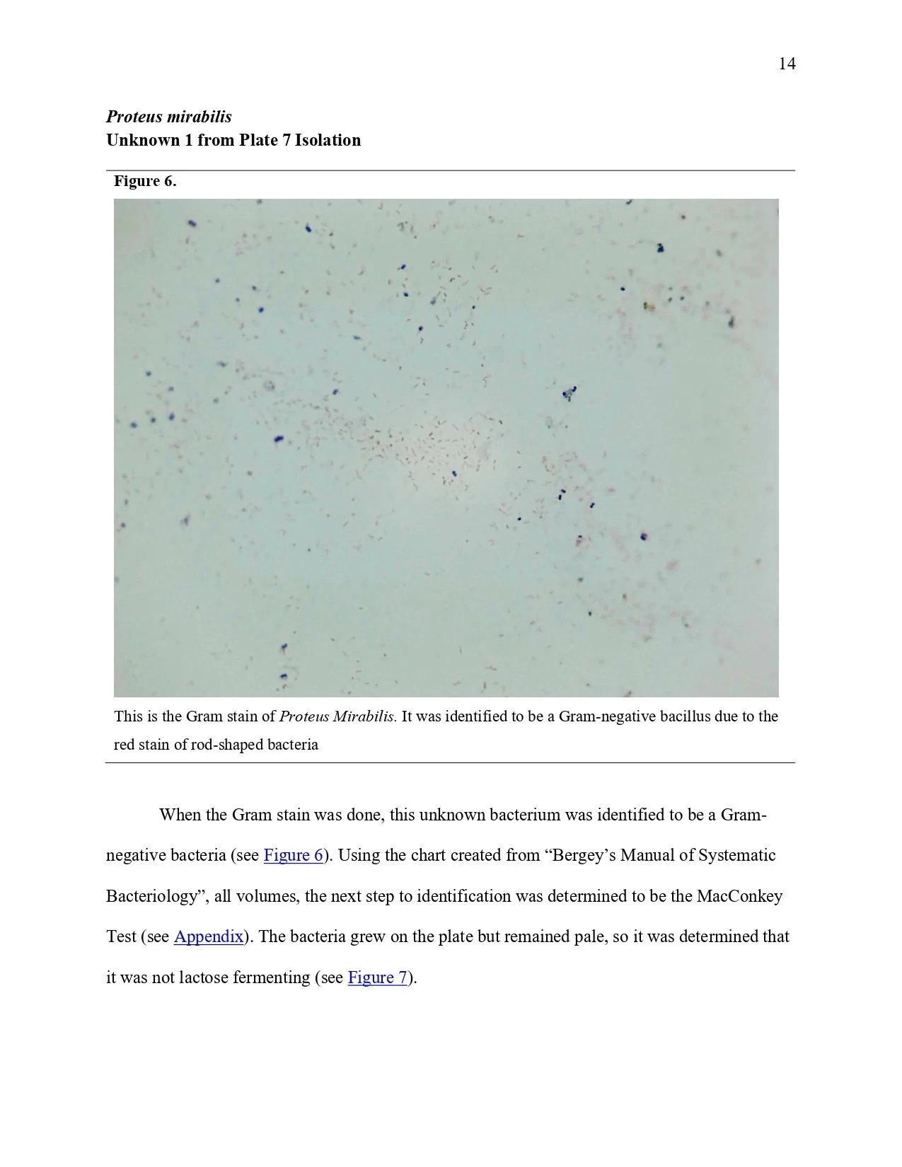 Unknown Paper _page-0014.jpg