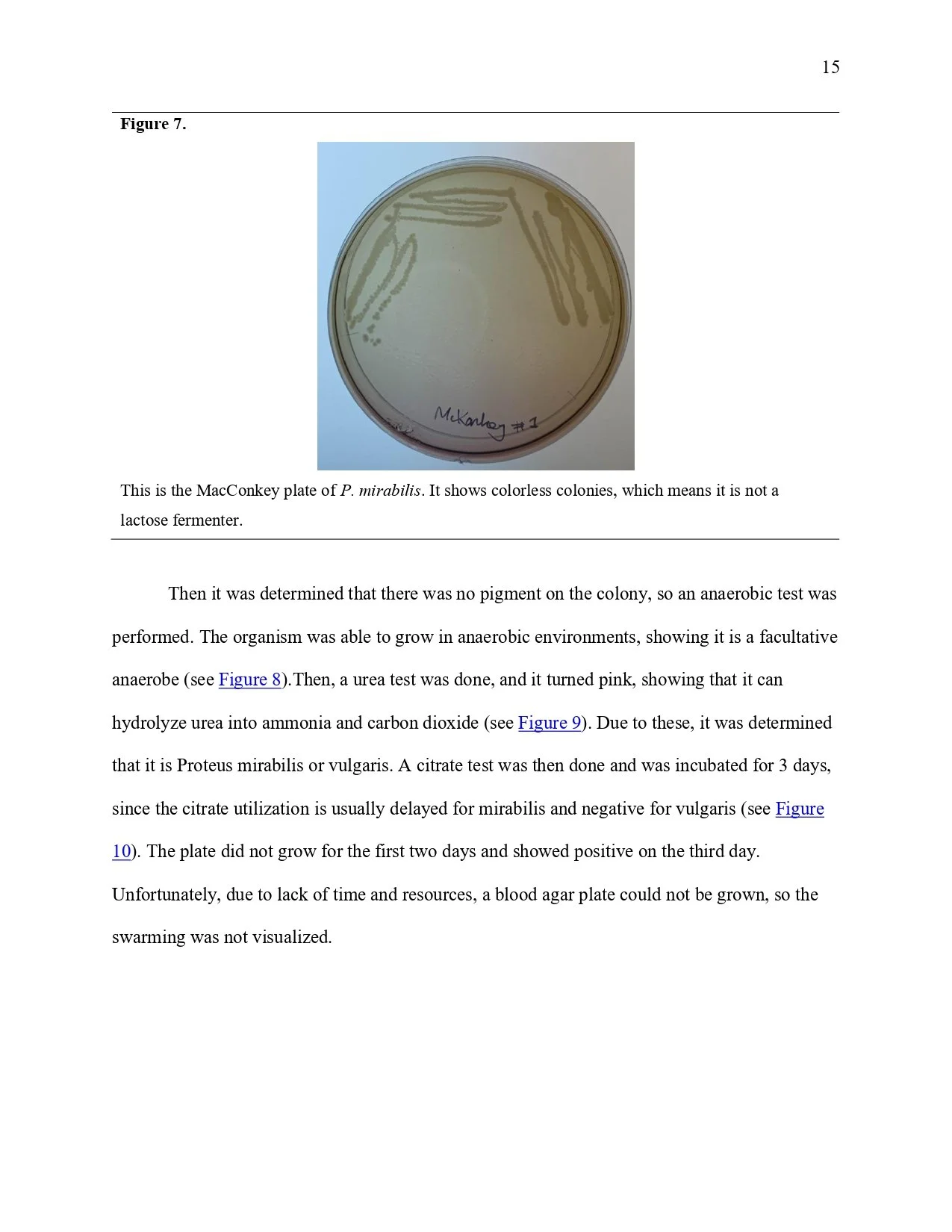 Unknown Paper _page-0015.jpg