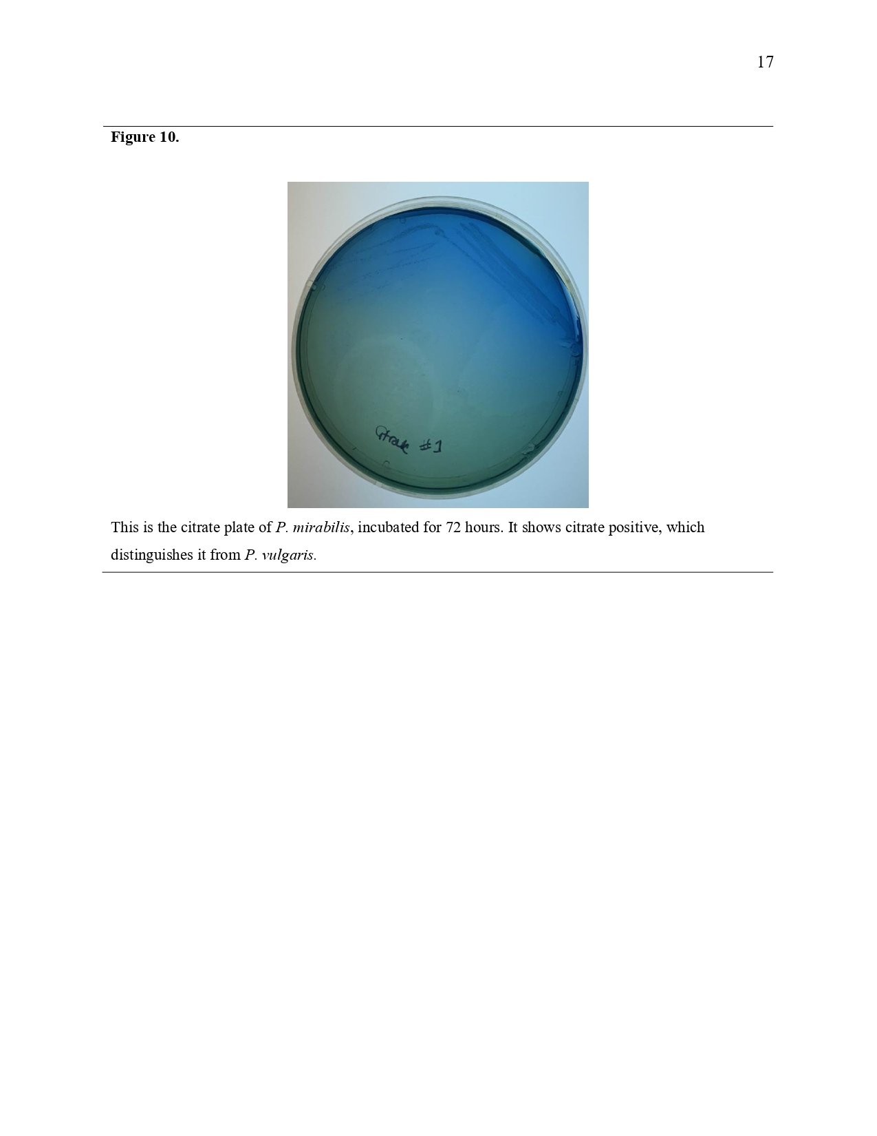 Unknown Paper _page-0017.jpg