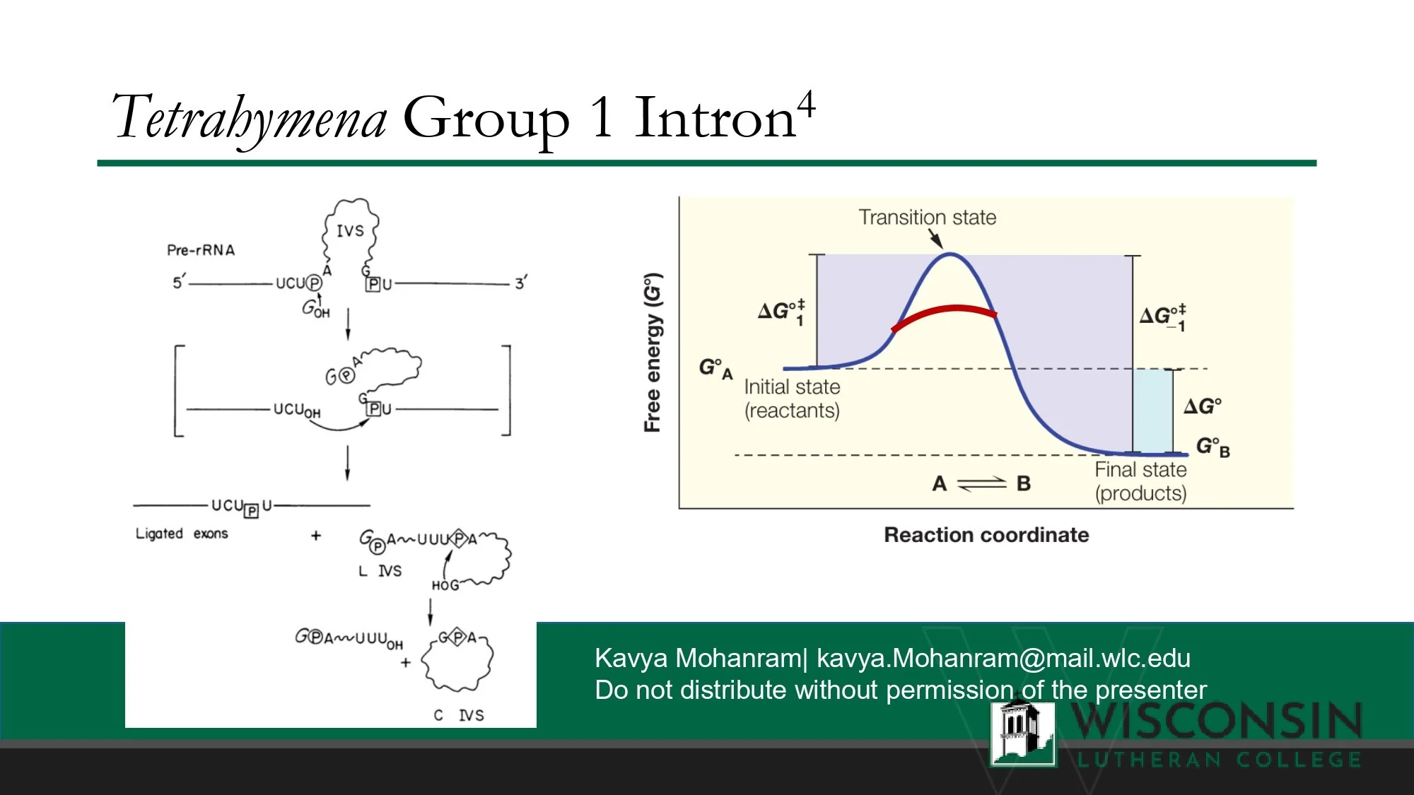 Final Presentation_page-0005.jpg