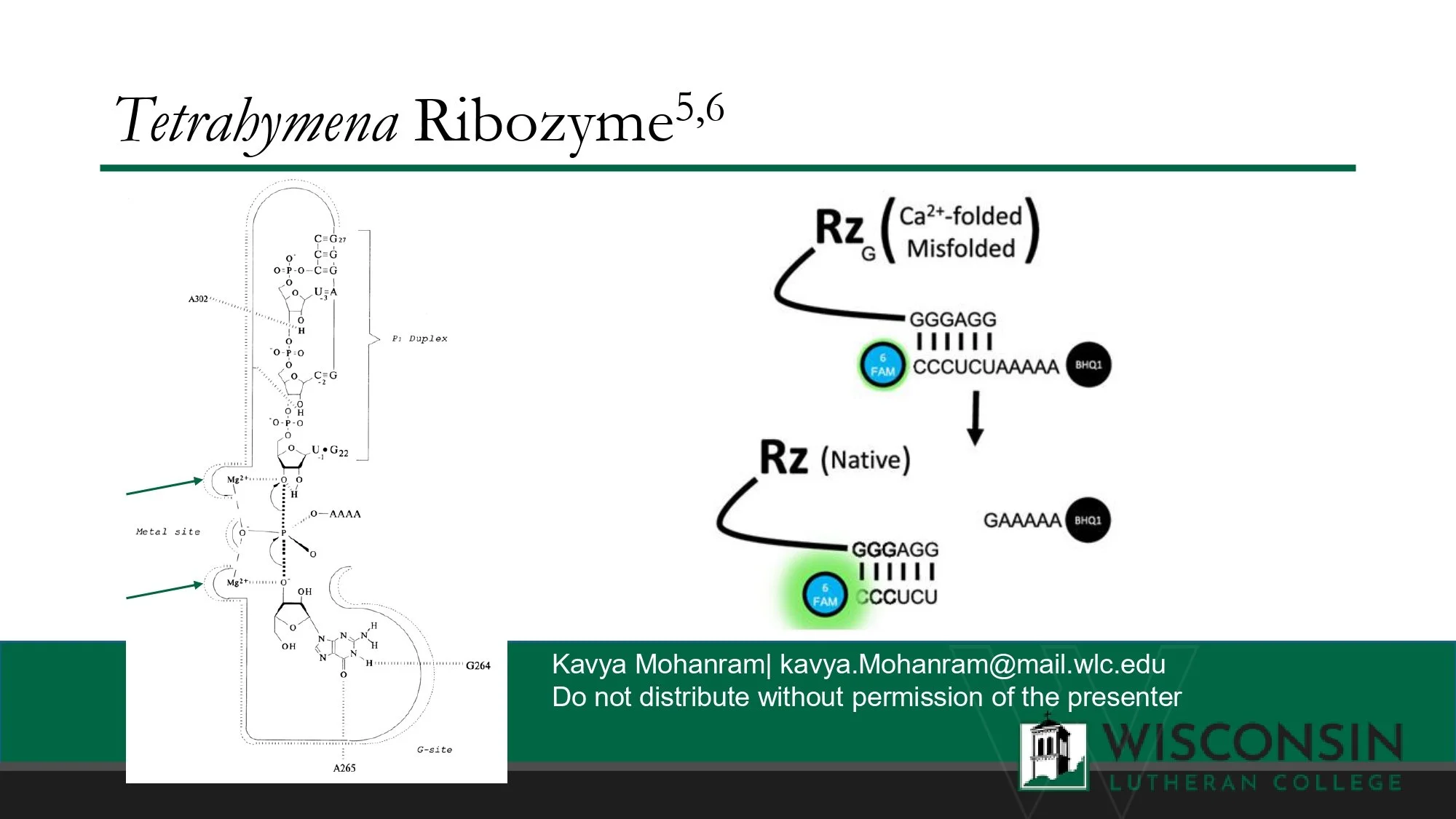 Final Presentation_page-0006.jpg