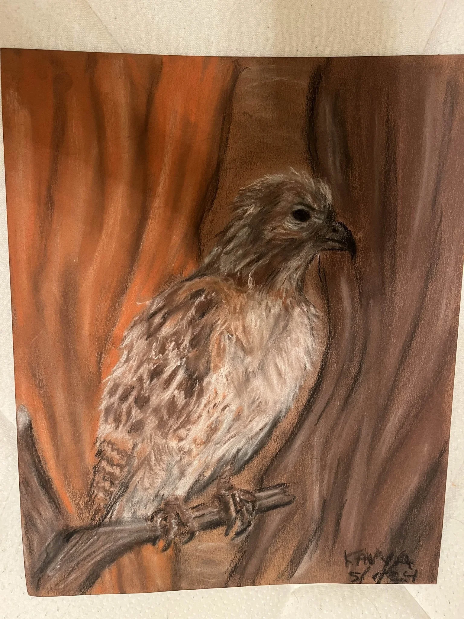 Hawk | Hard Pastel | 2024