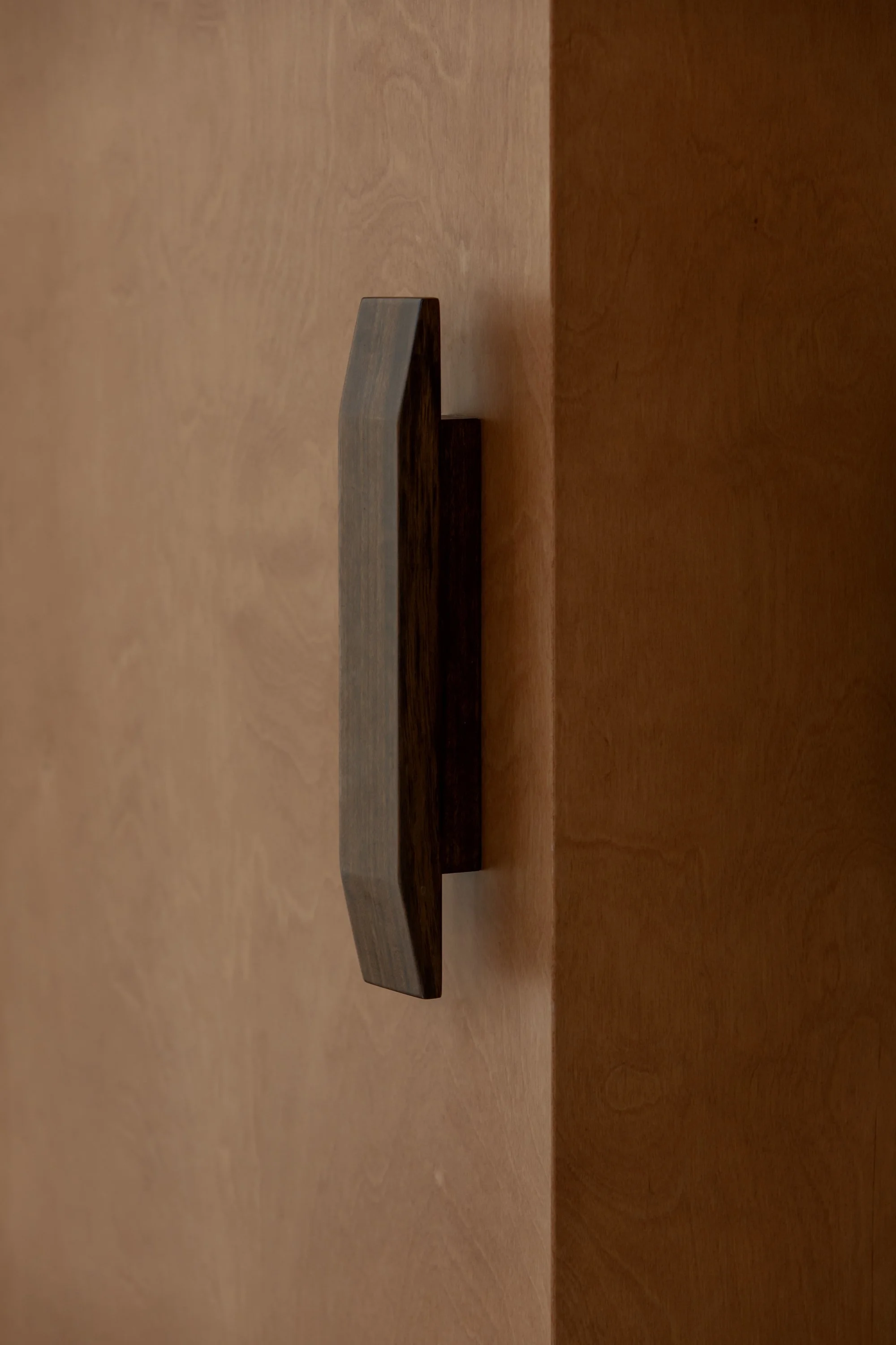 A close-up of a small, rectangular, dark wood shelf mounted on a wooden wall or cabinet.
