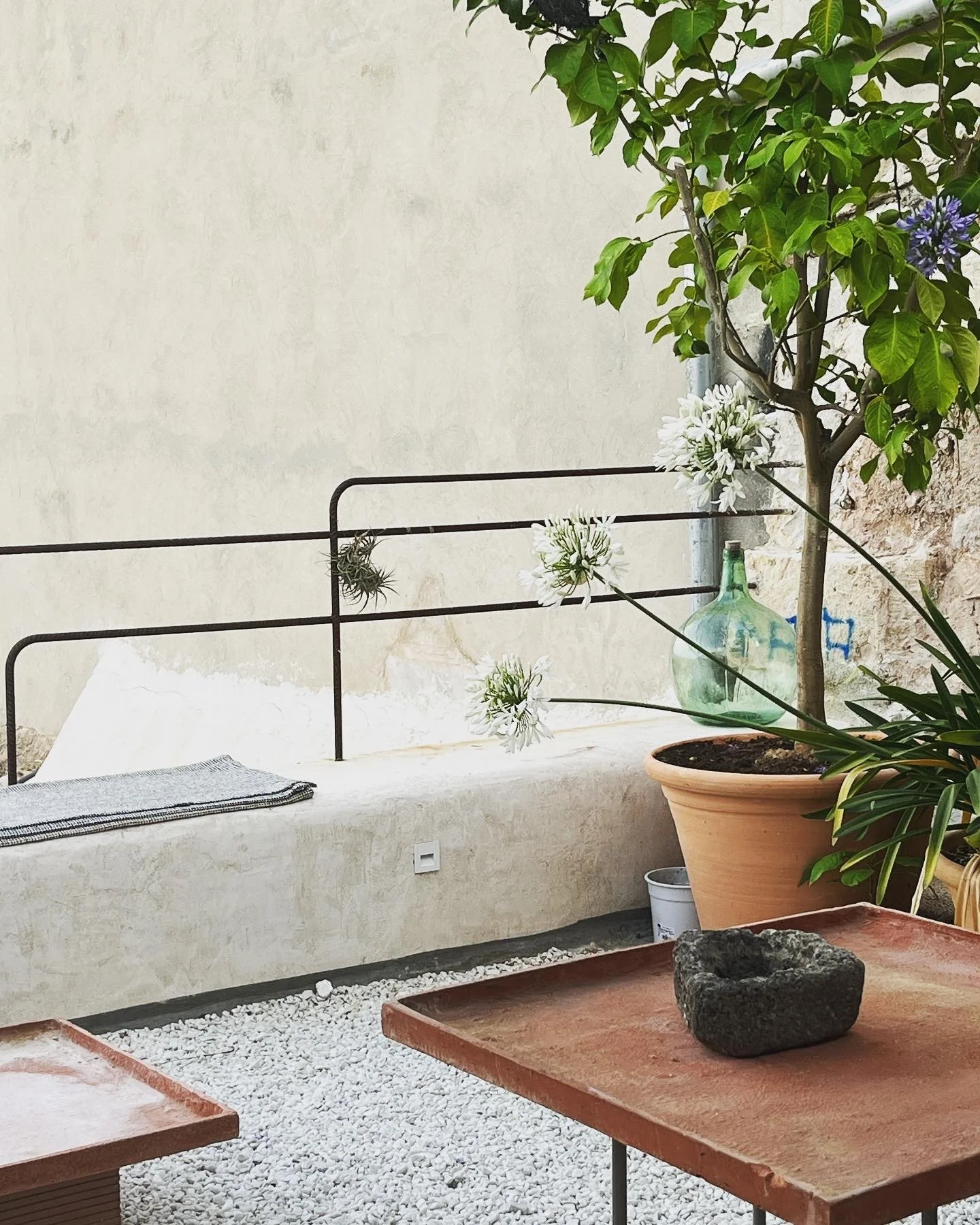 A minimalist outdoor patio with plants, potted greenery, and a simple bench against a stucco wall.