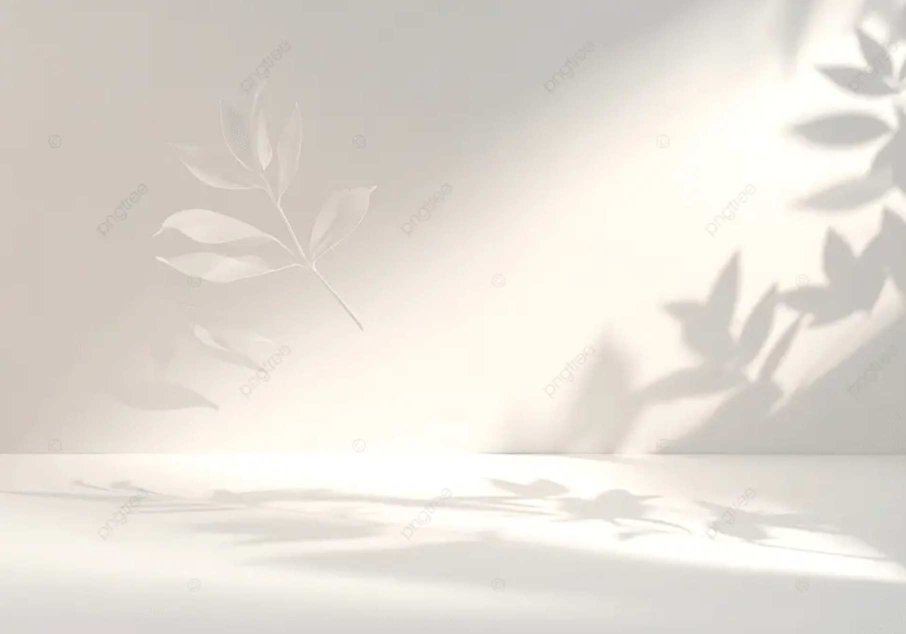 Silhouettes of leaves cast shadow on a white wall and surface, with light coming from the right side.