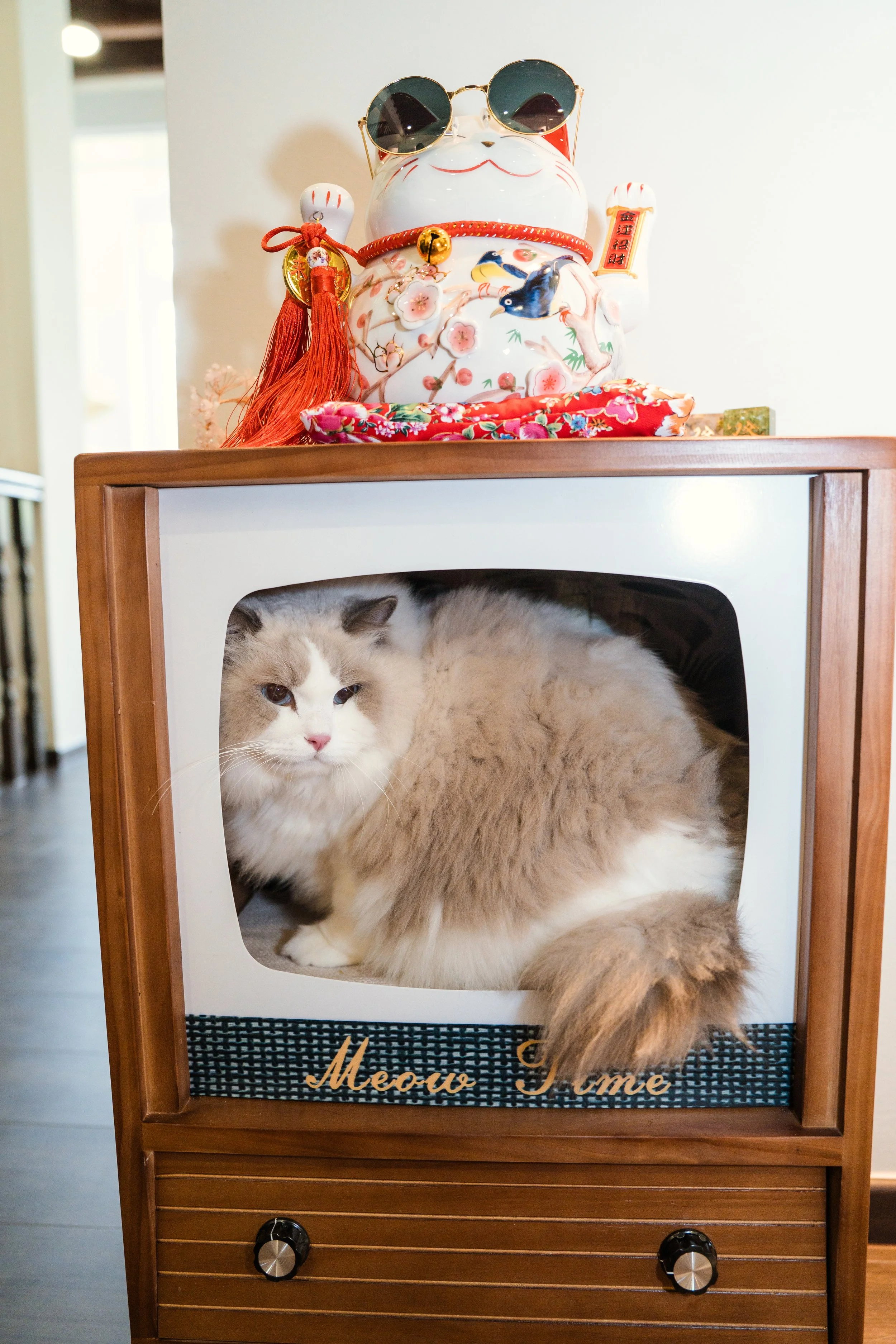 A fluffy, long-haired cat sitting inside a vintage-style wooden and plastic cabinet with a cloth label that reads 'Meow'. On top of the cabinet is a ceramic Maneki-neko or lucky cat figurine wearing sunglasses, adorned with decorations and Chinese characters.