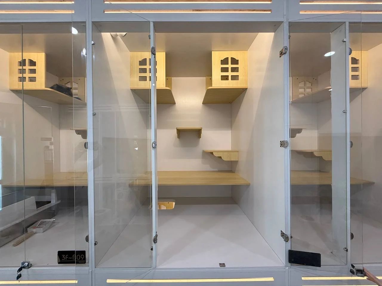 Loft Suite cat boarding room with vertical climbing space at Kuro Cat Hotel