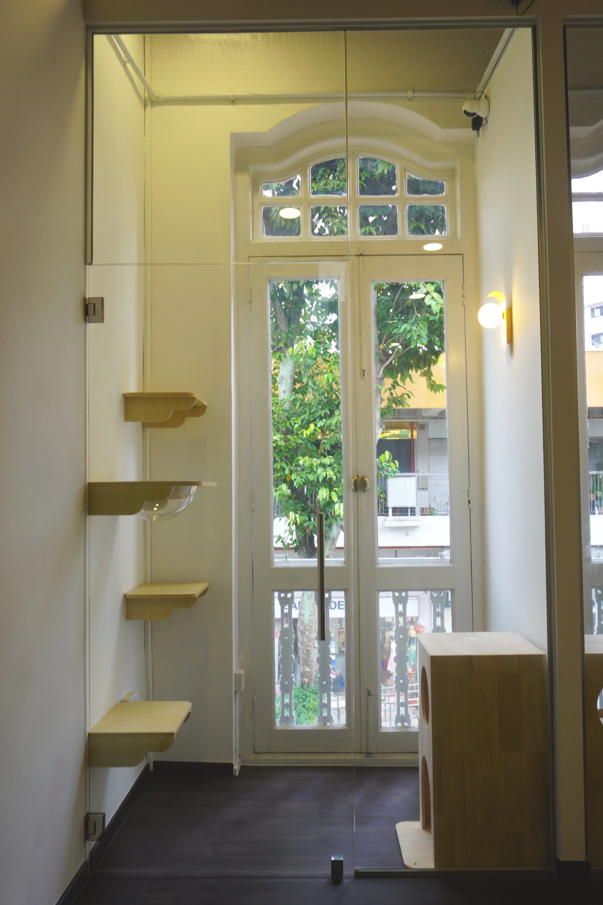 Sunlit Sky Villa cat boarding room at Kuro Cat Hotel Singapore, featuring a large window with a calming treetop view and climbing walls.
