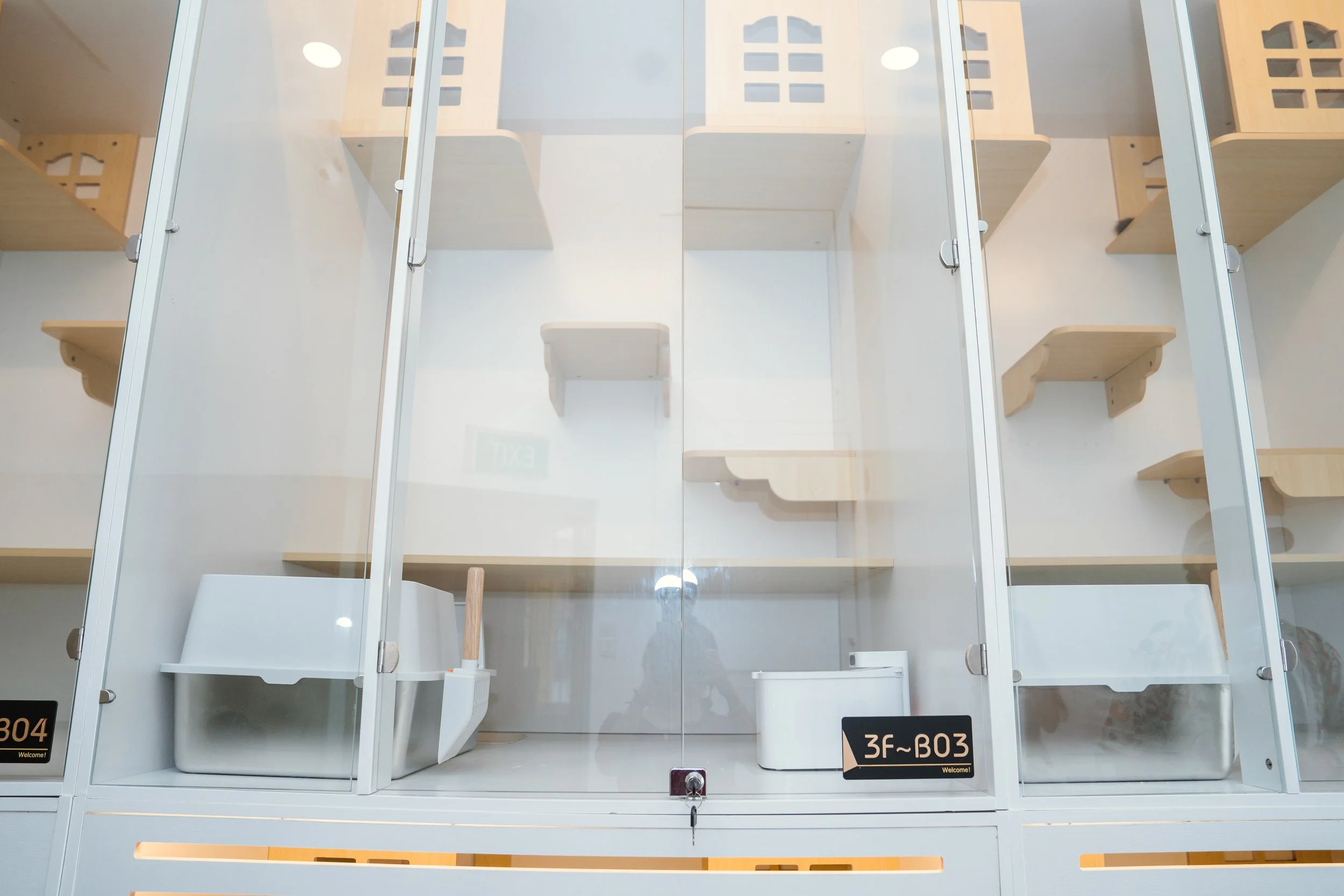 Spacious multi-level cat hotel room with separate dining and litter areas, showcasing our hospital-grade cleanliness standards.