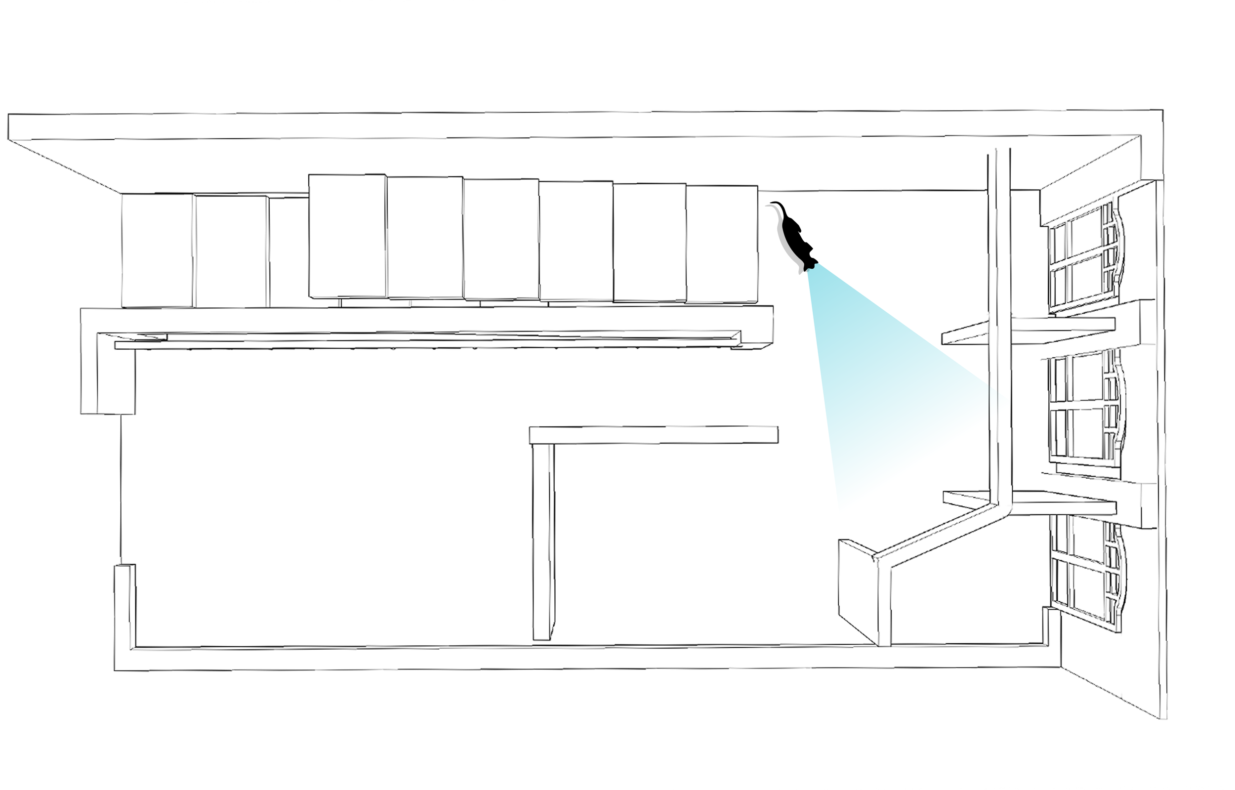 Top-down view of a room with a couch, a table, shelves, windows, and a cat with a flashlight in the corner.