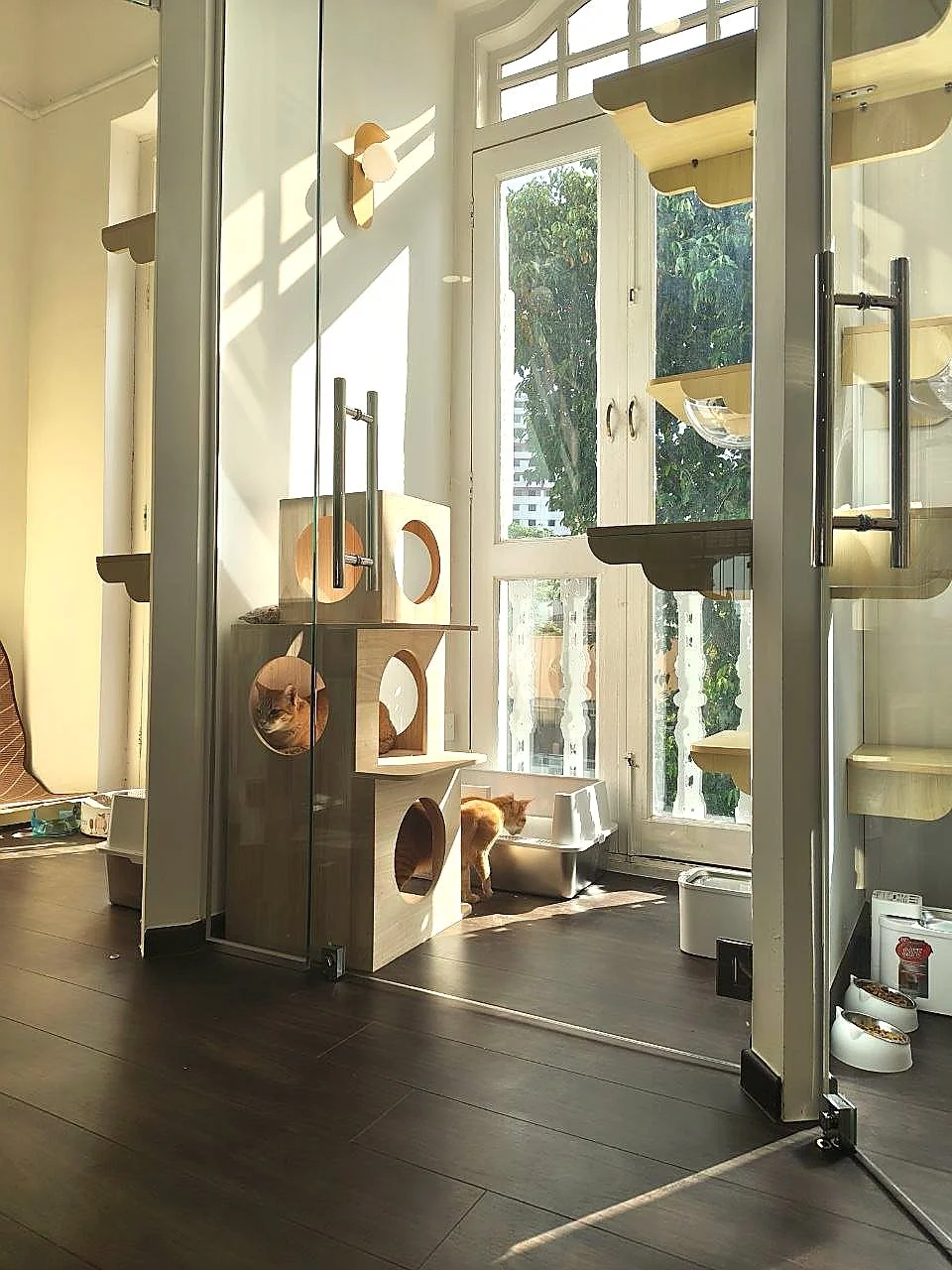 Sky Villa spacious cat boarding suite with natural light from SGD 100 per night at Kuro Cat Hotel