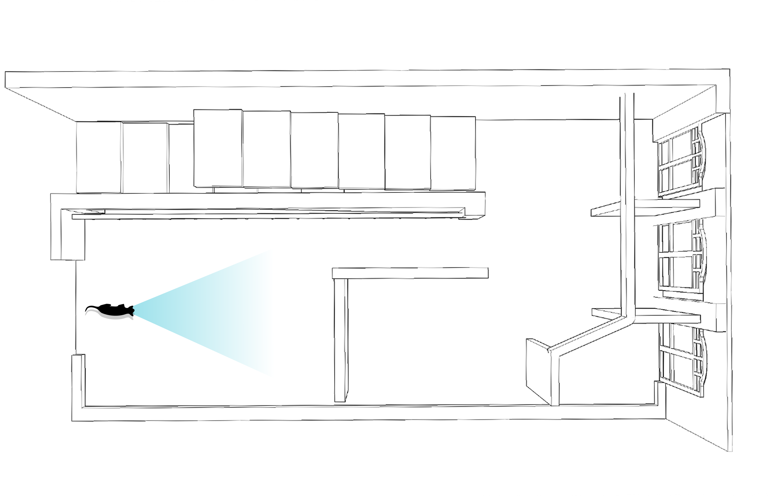 Outline and layout of a room with a person using a flashlight, a sofa against the top wall, and a kitchen area with cabinets and windows on the right side.