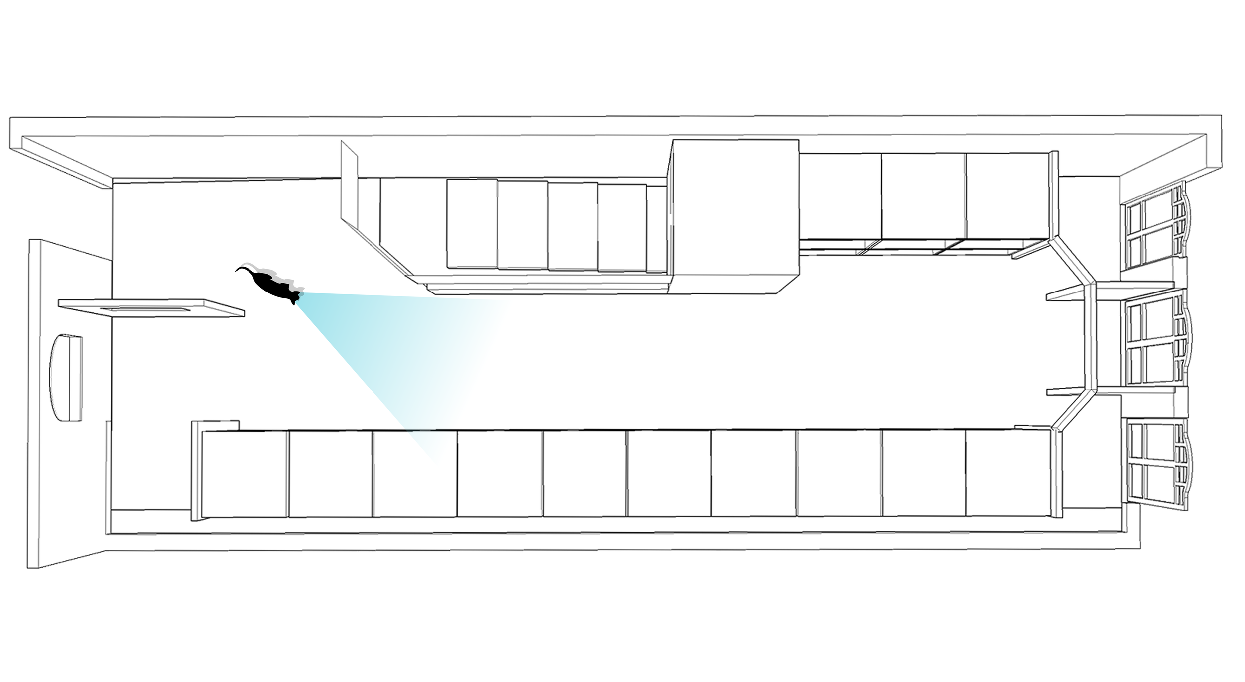 Line drawing of a room with a cat pointing a flashlight on the left side, overhead cabinets, and multiple windows on the right side.