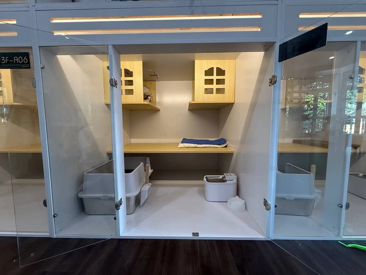 Classic Suite cat boarding room from SGD 60 per night at Kuro Cat Hotel Singapore