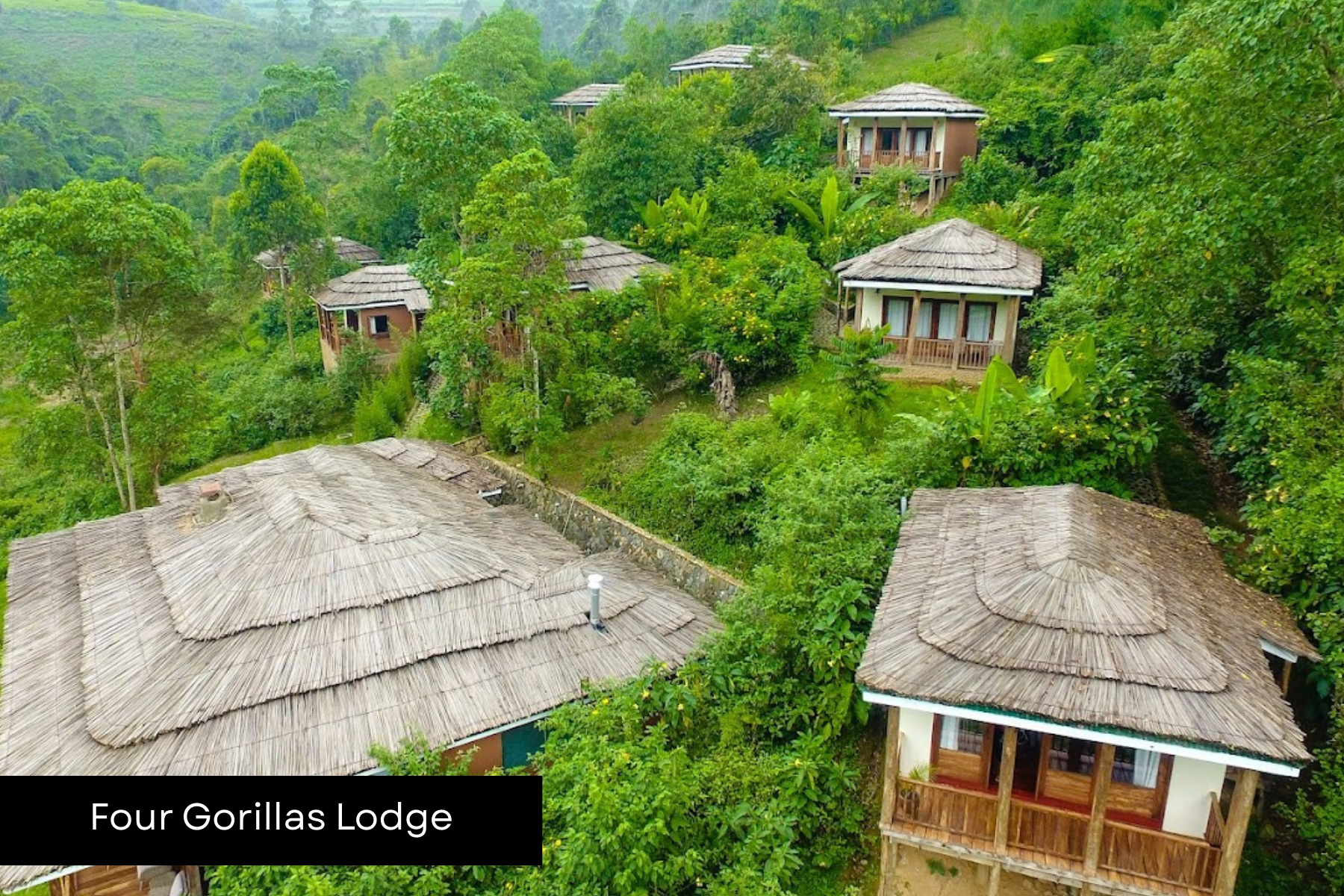 Mihingo Lodge(2).png