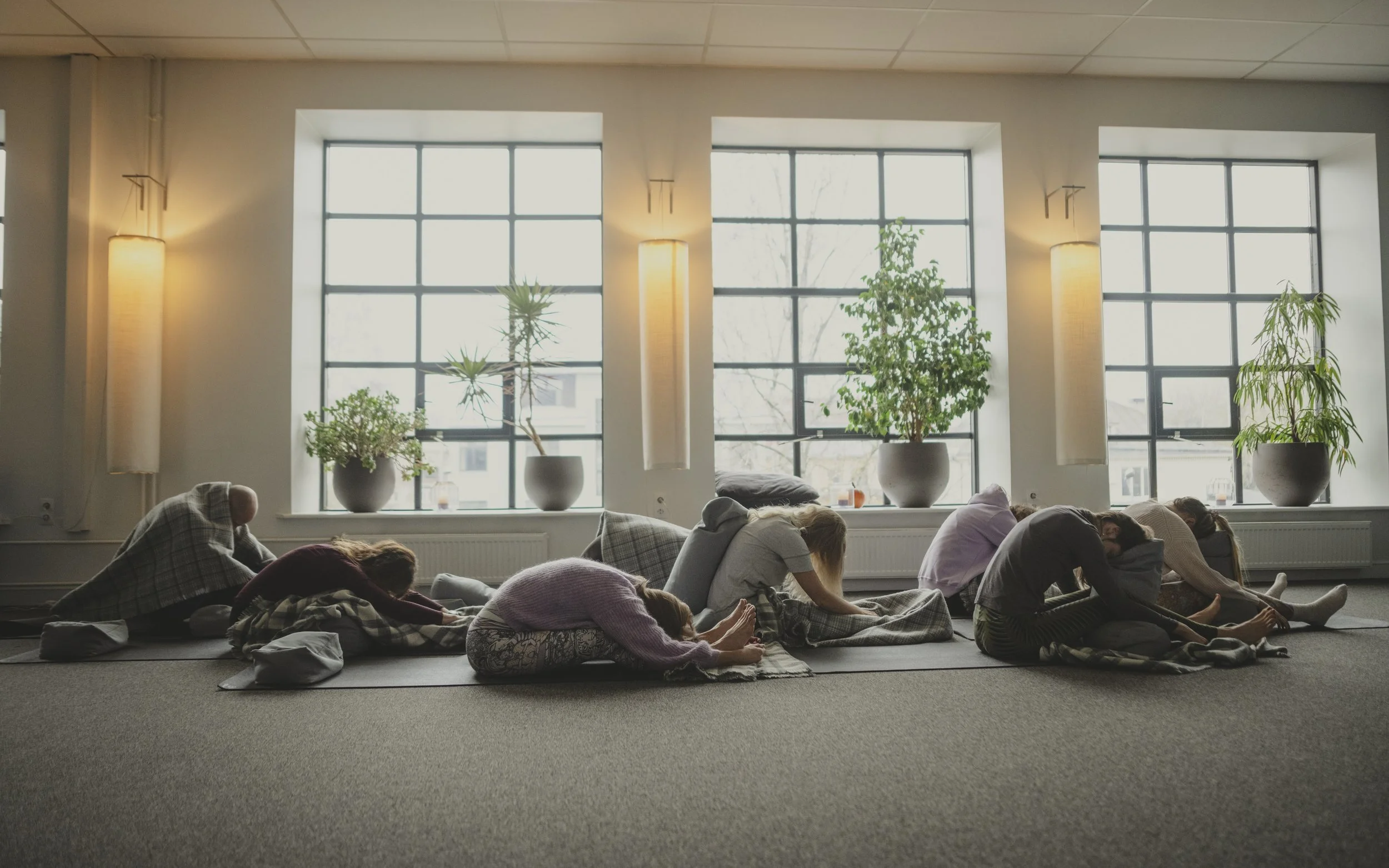 People practicing yoga in a bright, airy room with large windows and potted plants, all sitting on mats and stretching.