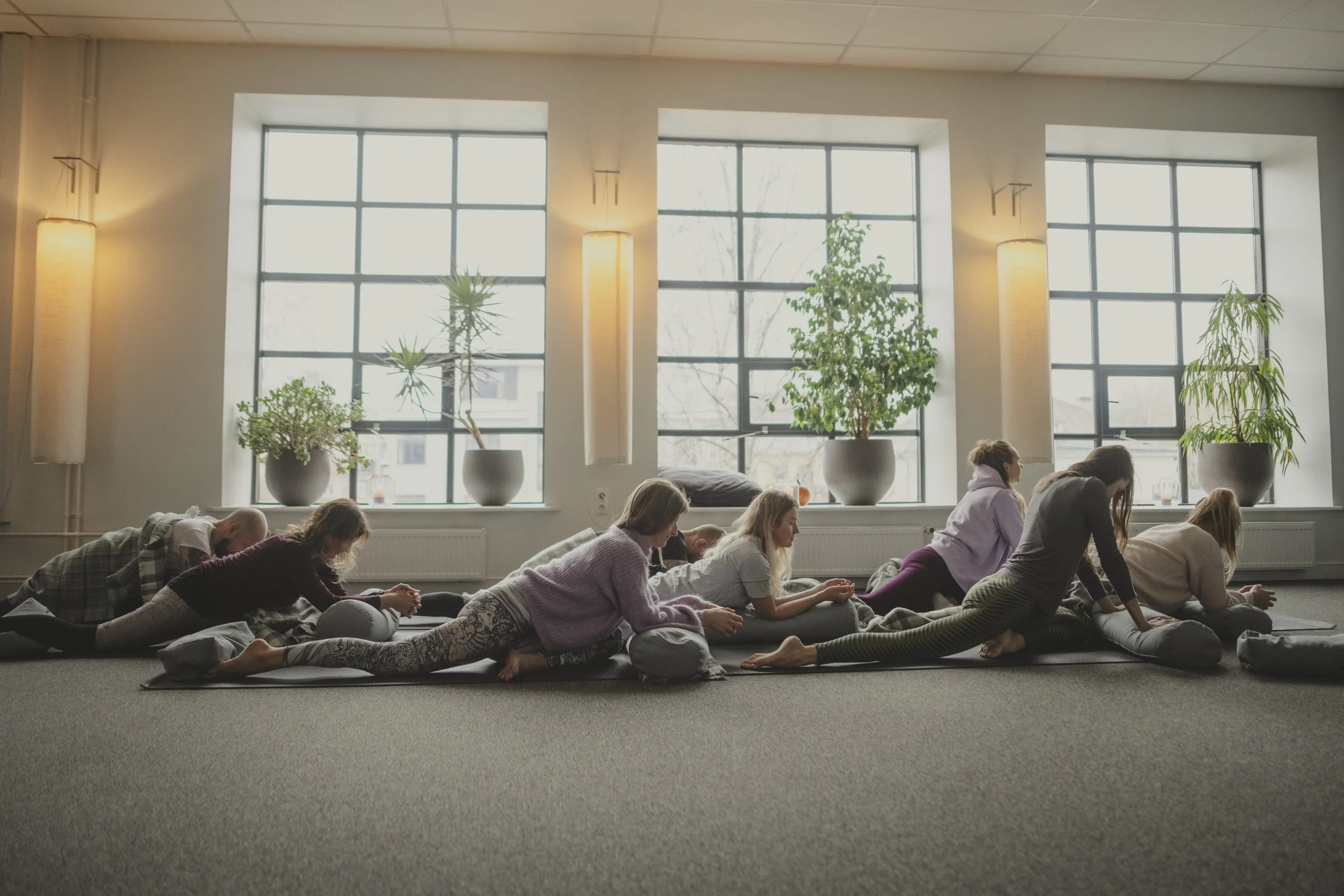People practicing yoga in a bright, spacious room with large windows and potted plants.
