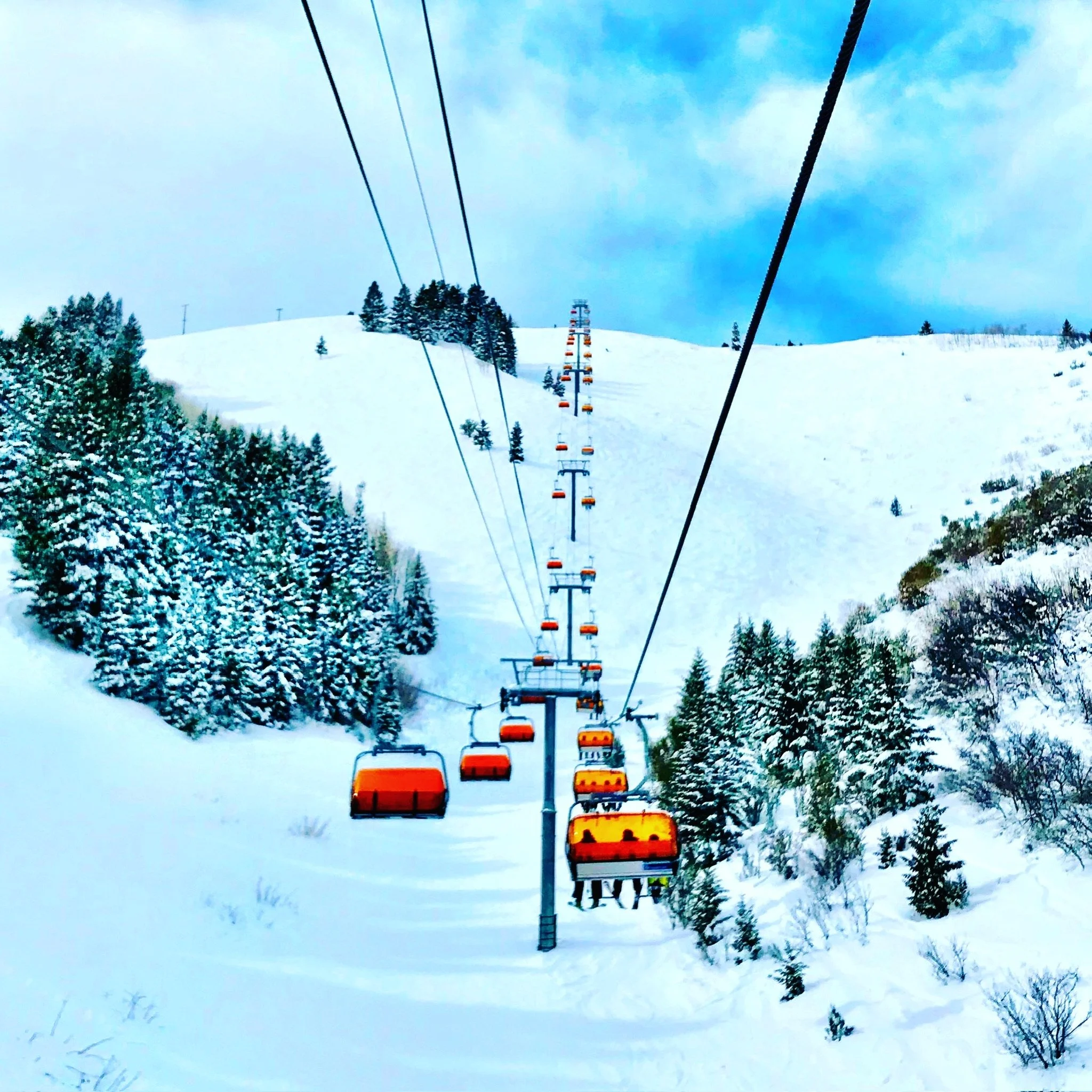 Ski lift chairs ascending a snow-covered mountain with trees and cloudy sky in the background.