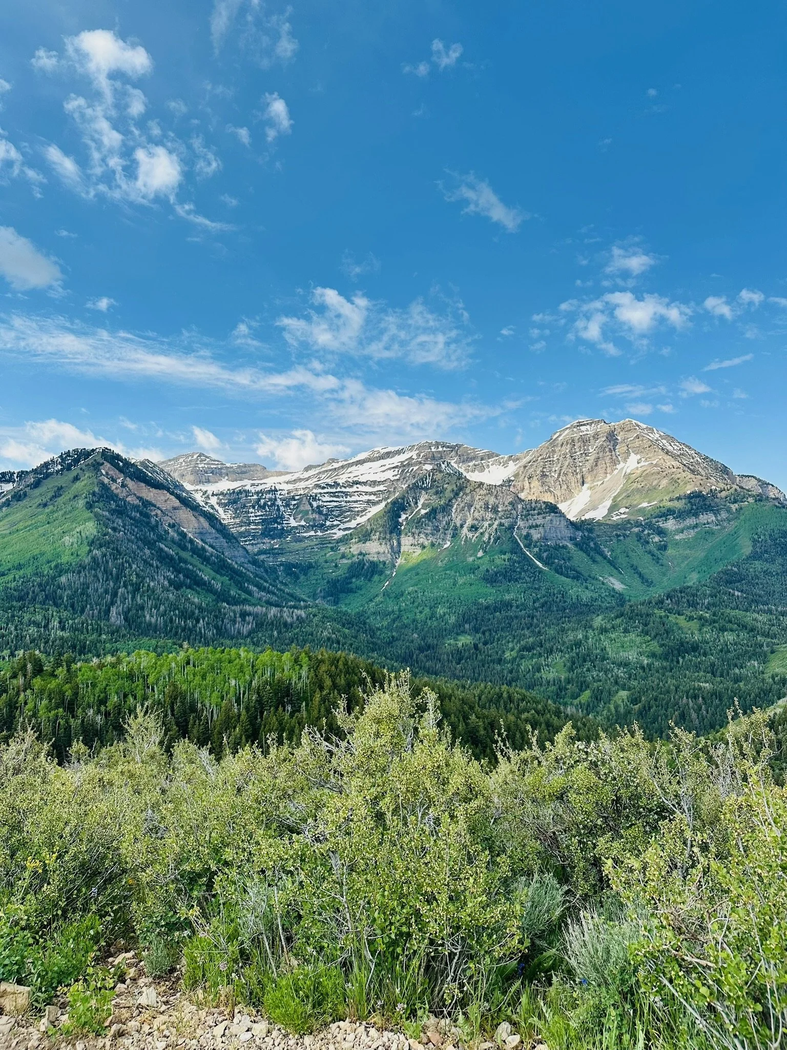 Scenic view of a mountain range with snow-capped peaks, green forests covering the slopes, and lush vegetation in the foreground under a partly cloudy sky.