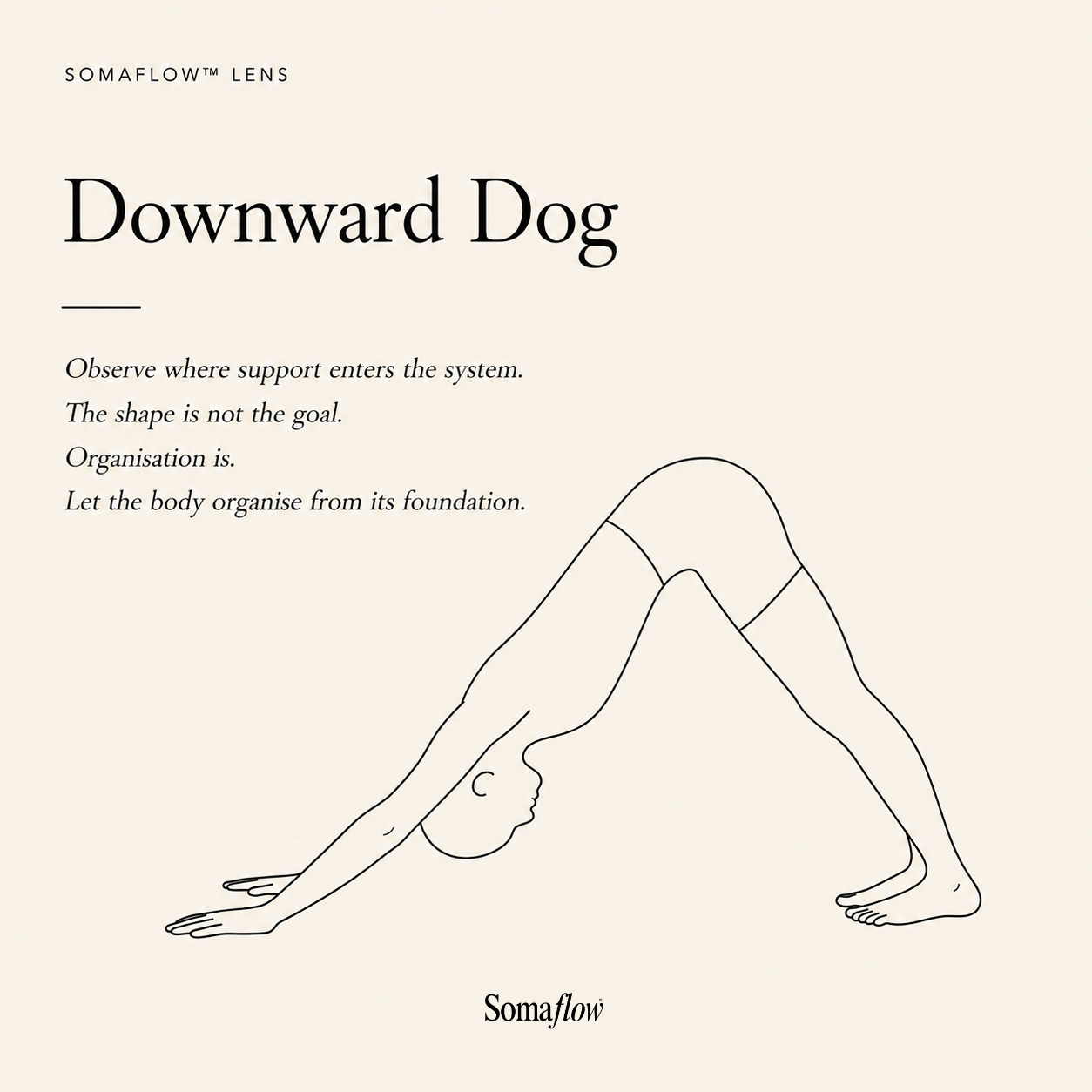 Downward Dog