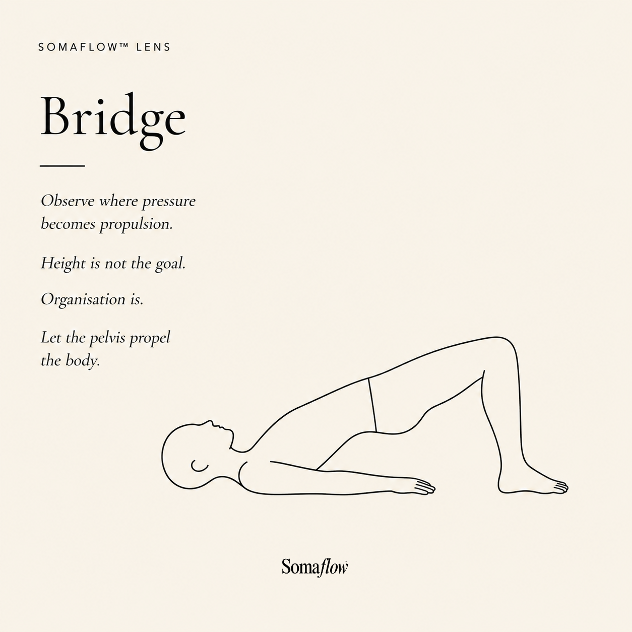 Bridge