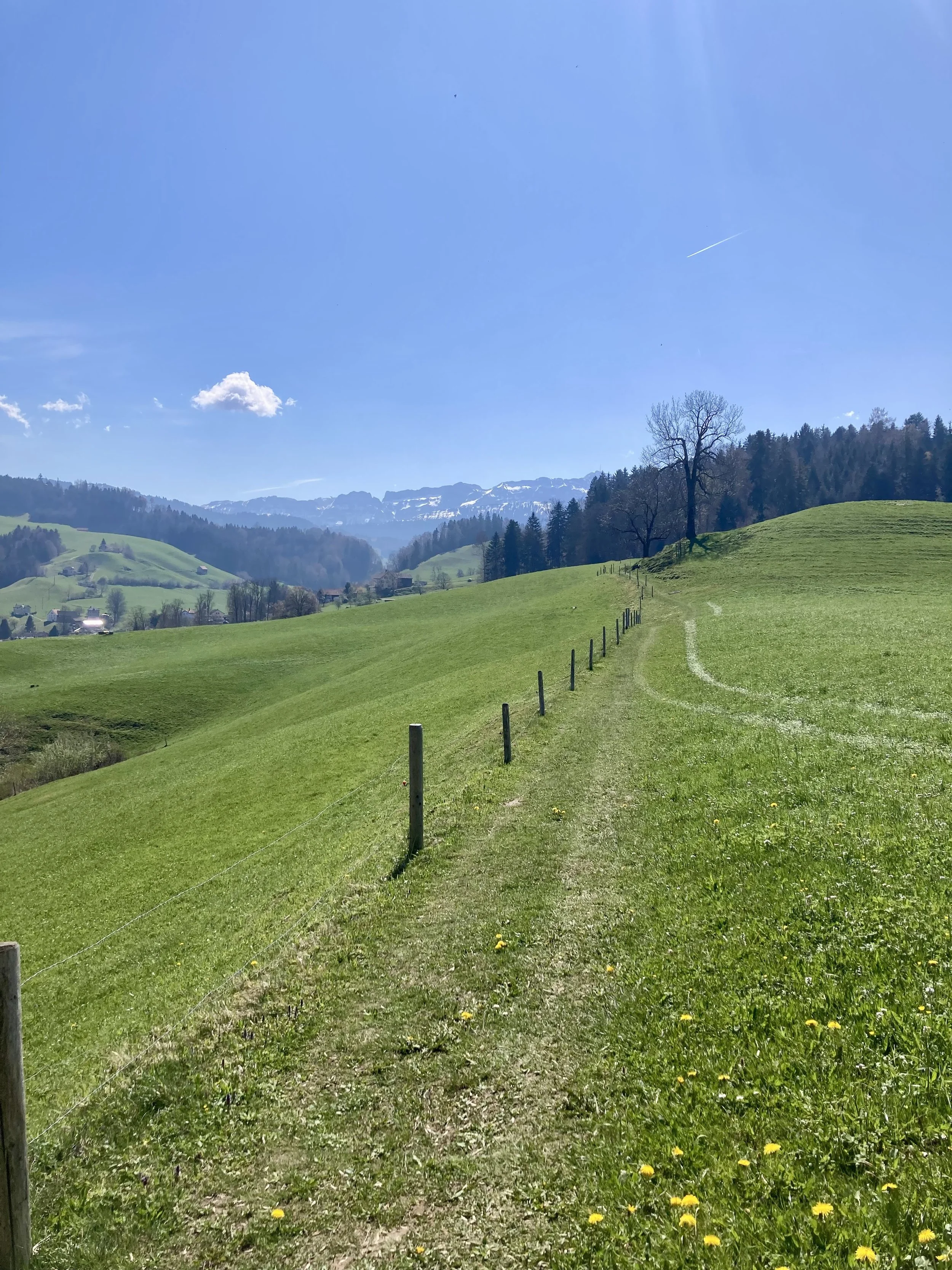 Weg durch eine grüne Hügellandschaft mit Bergen im Hintergrund und blauen Himmel