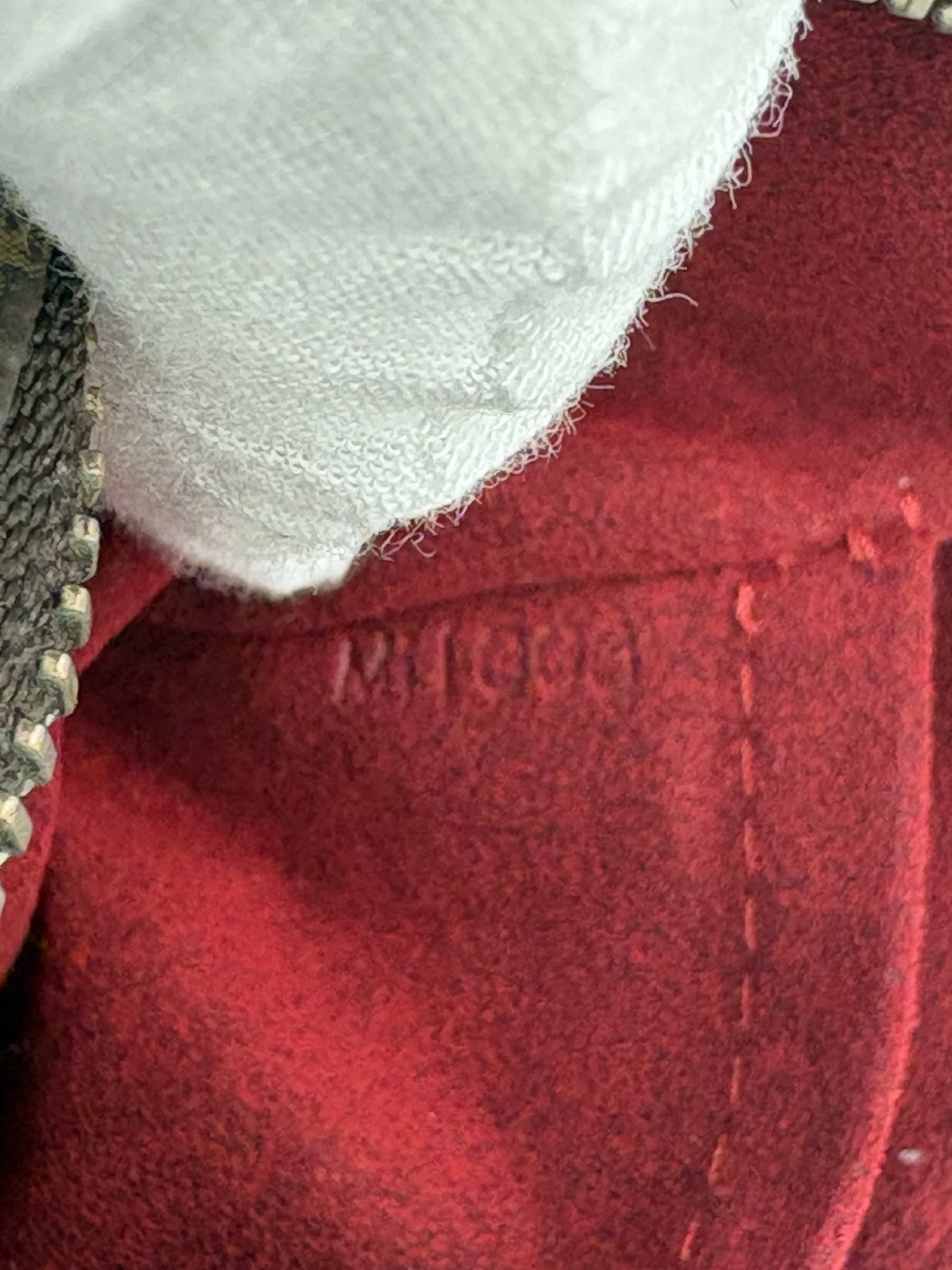 IMG_9979.jpeg