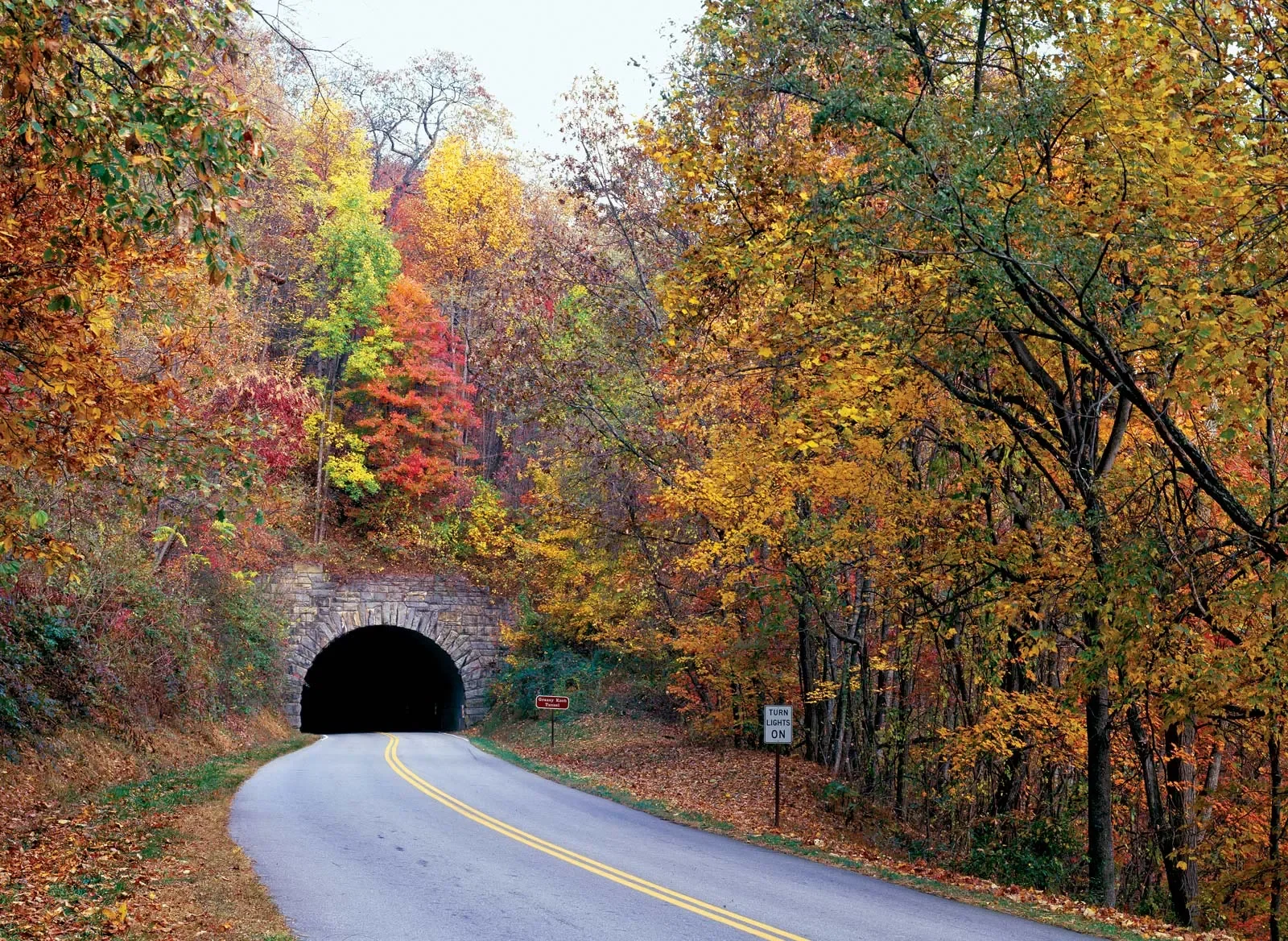 Enjoy a drive down the iconic Blue Ridge Parkway
