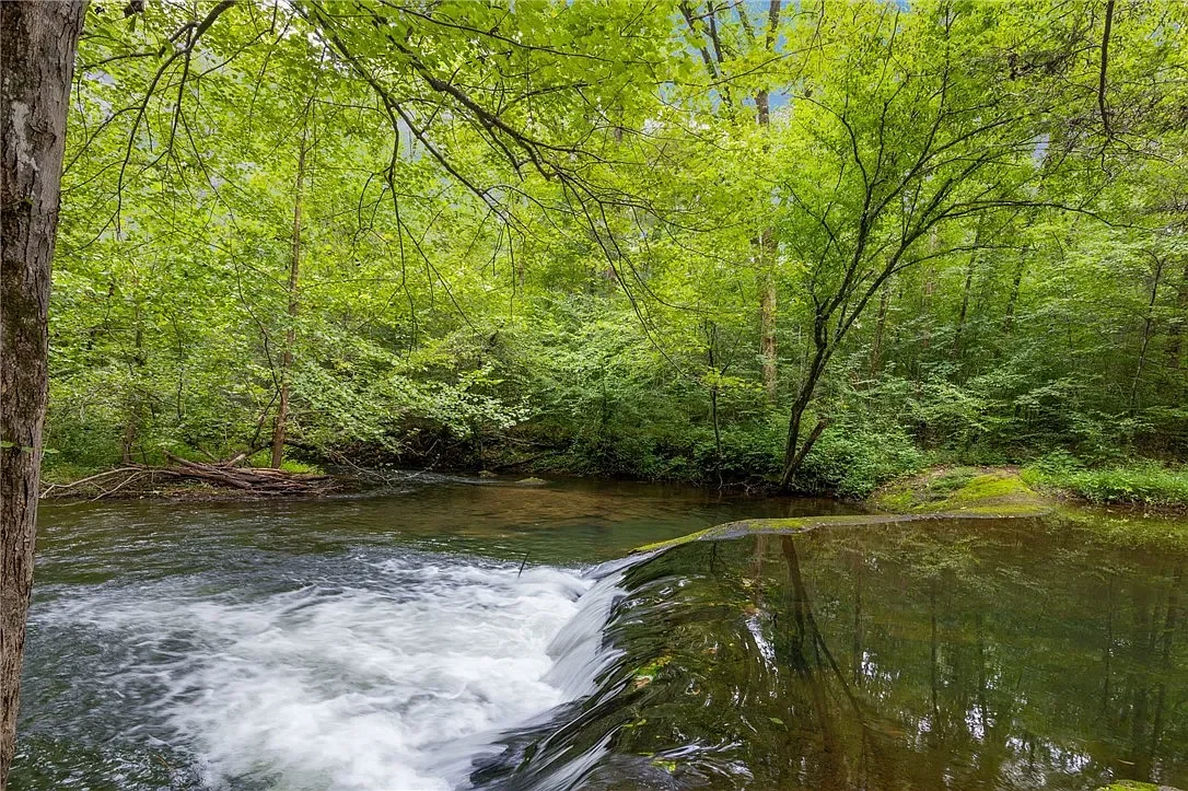 A peaceful forest scene with a flowing river and lush green trees.