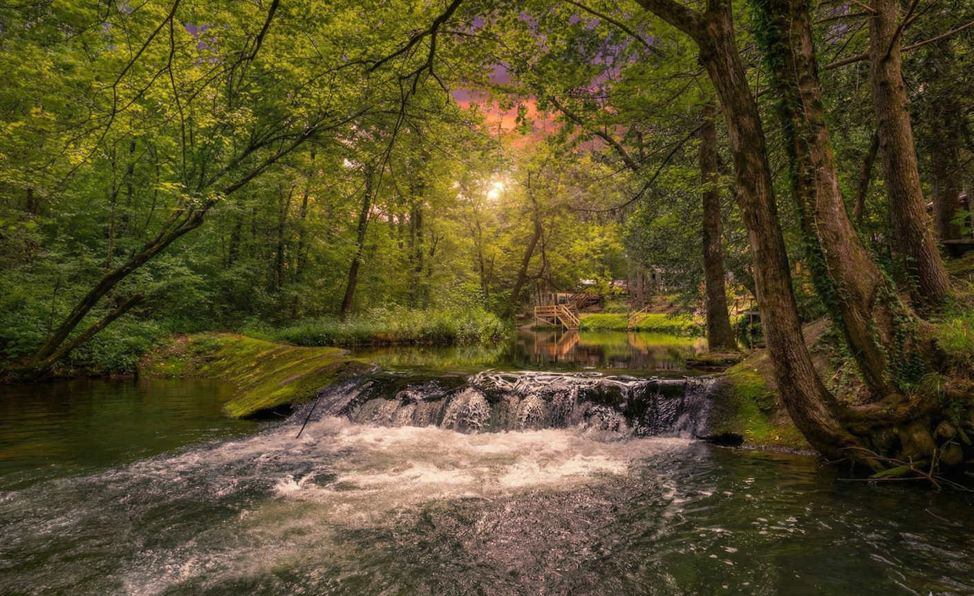 A peaceful forest scene with a small waterfall flowing into a river. Trees with green leaves surround the water, and a wooden deck and houses are visible in the background, with the sun setting or rising in the sky.